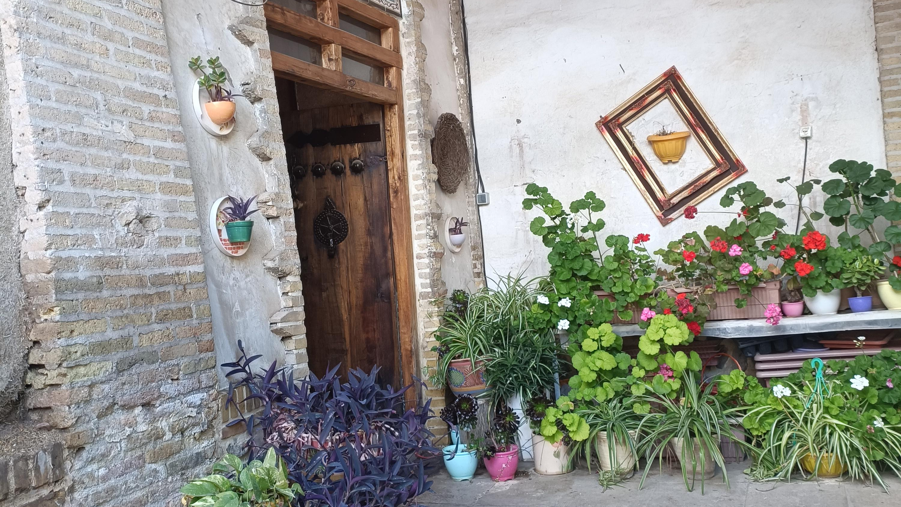 باغ موزه گیاهان دارویی زنجان