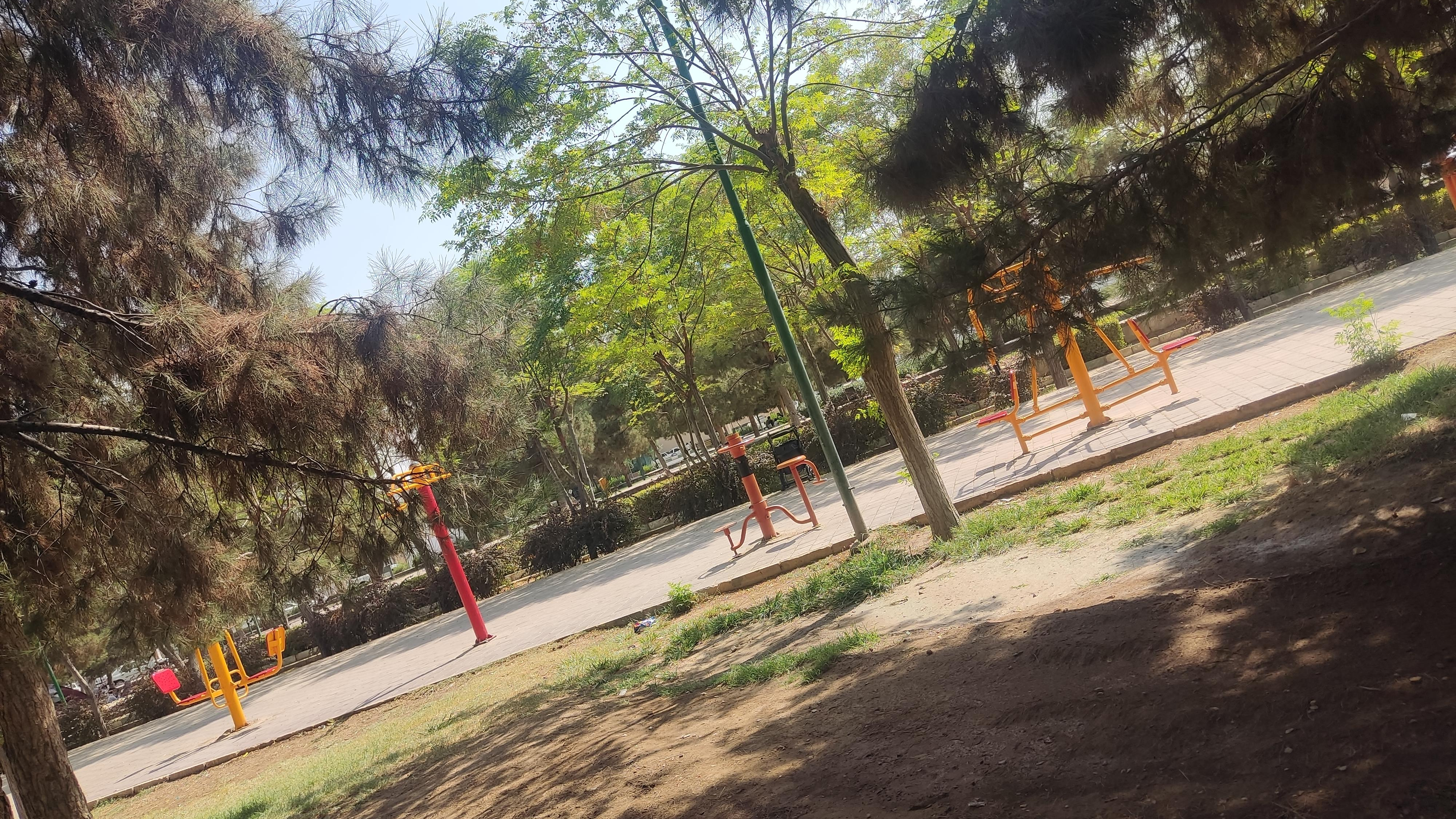 پارک جوان