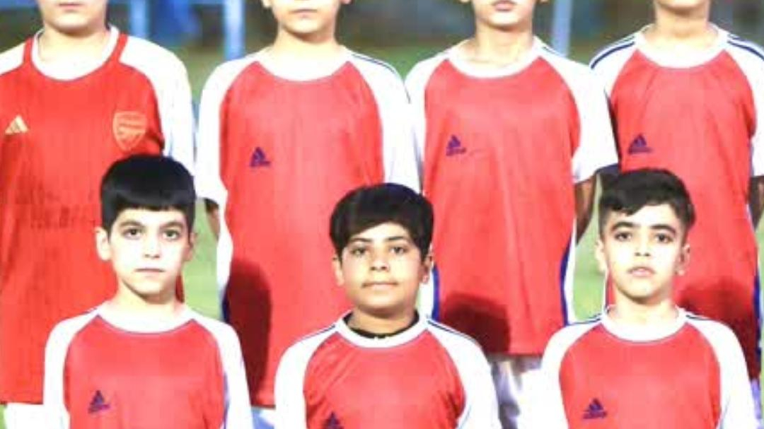 زمین چمن فجر