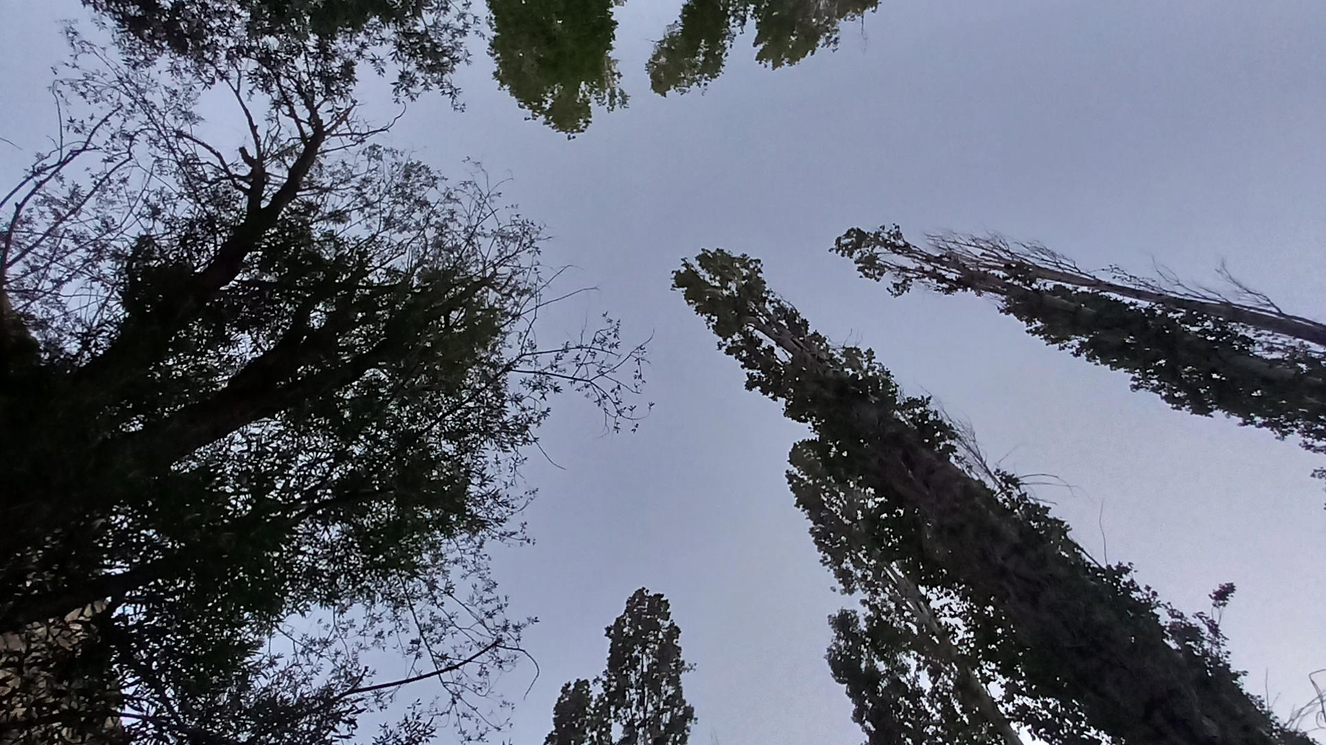 بوستان کوهستان