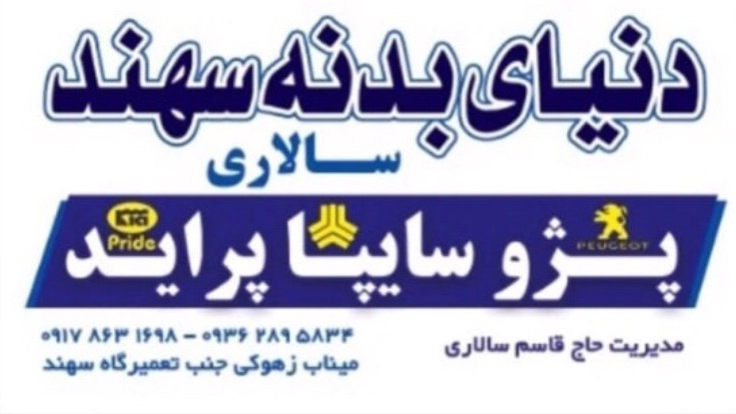 دنیای بدنه سهند سالاری