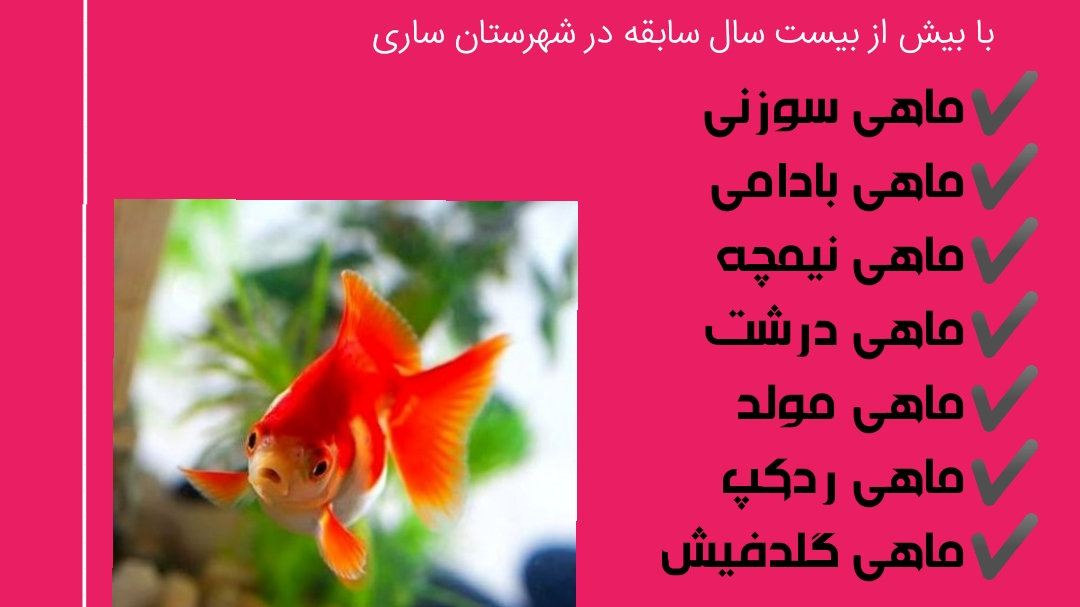مرکزپخش ماهی قرمزاکبری