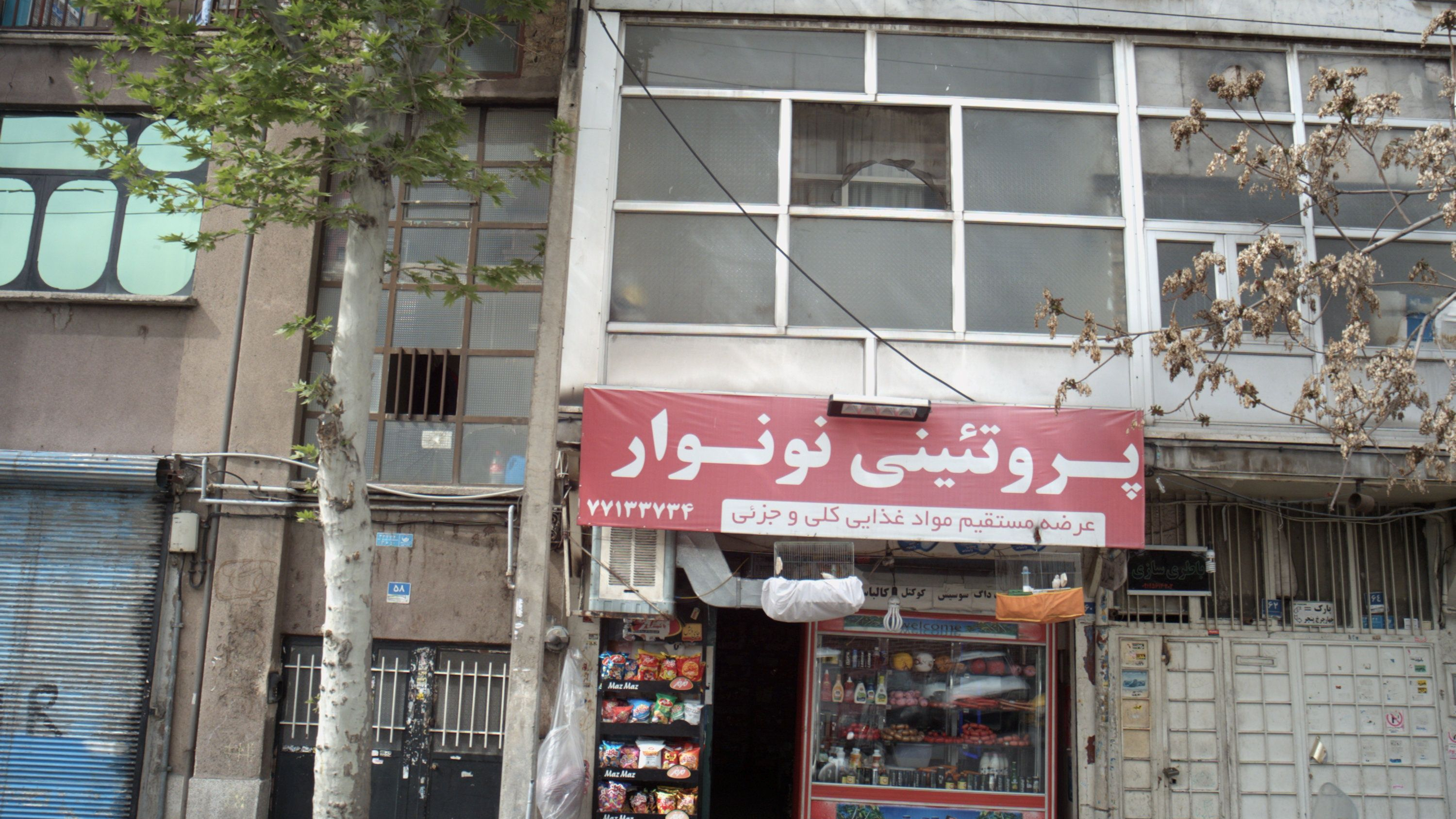 پروتئینی نونوار