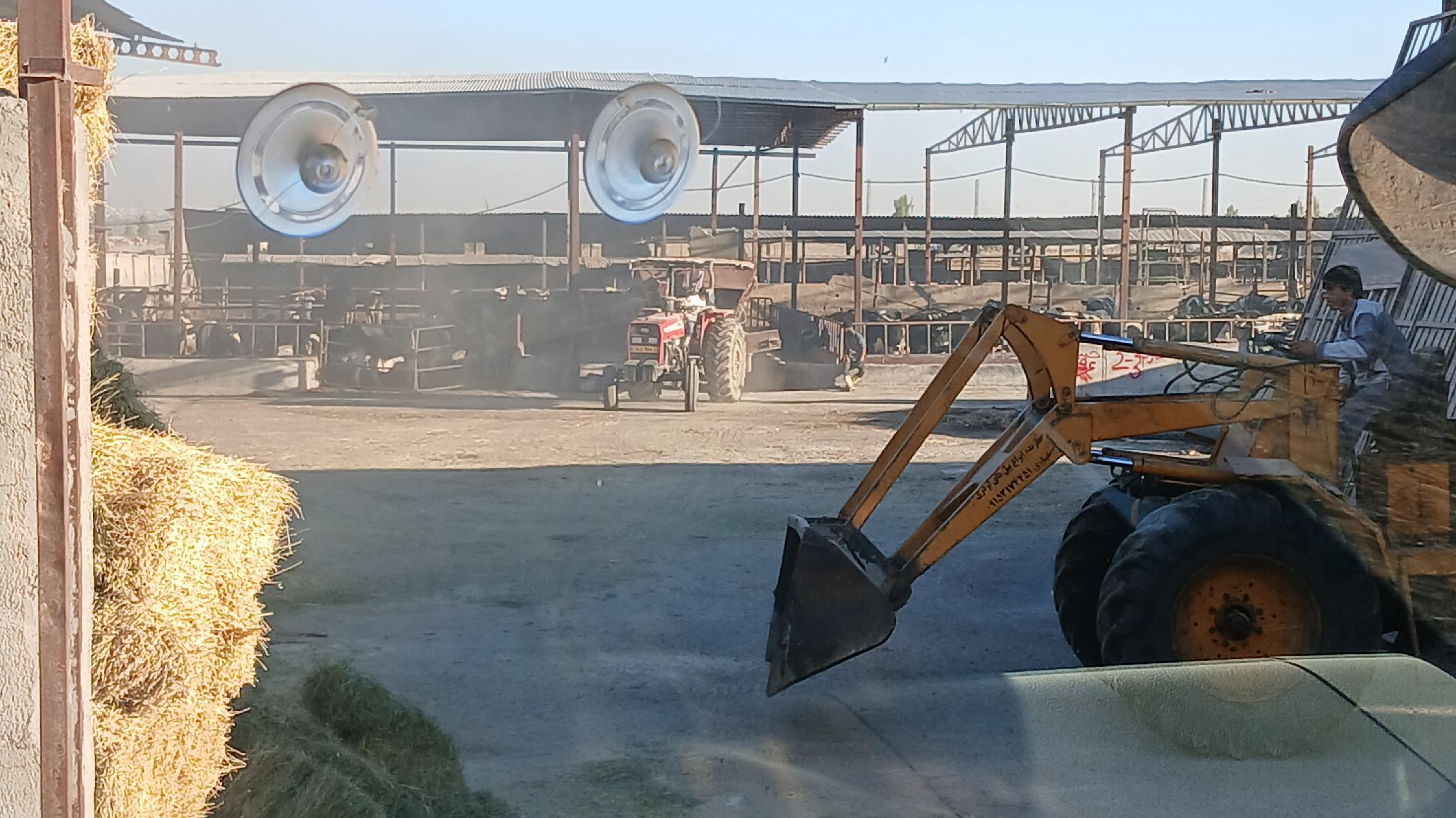 گاوداری ناب دوش دشت