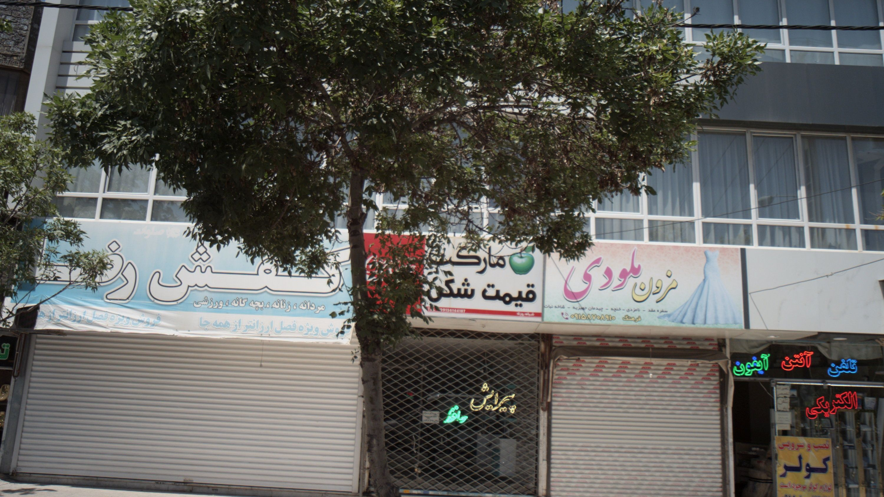 کفش رضا