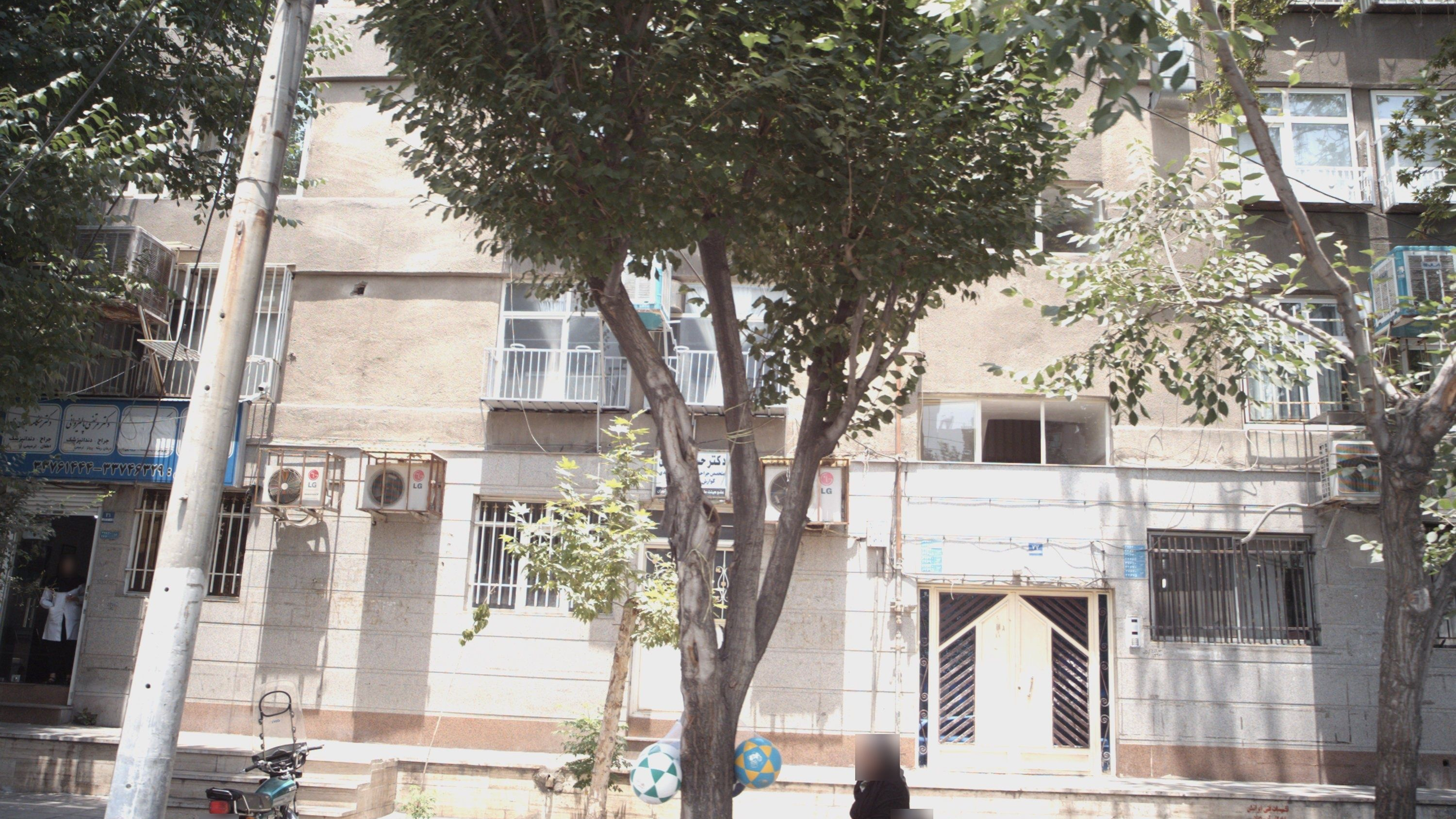 دکتر مرتضی پالیزوانی