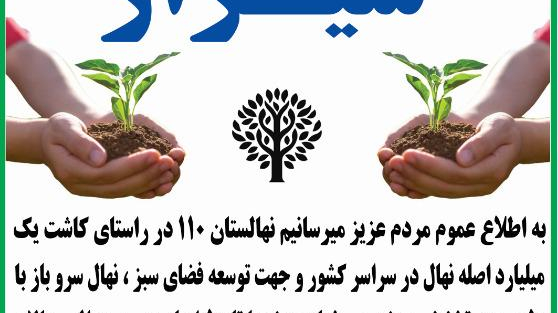 نهالستان ۱۱۰ شیراز