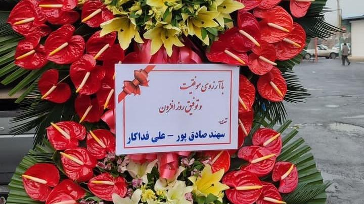 سوپر گل شقایق