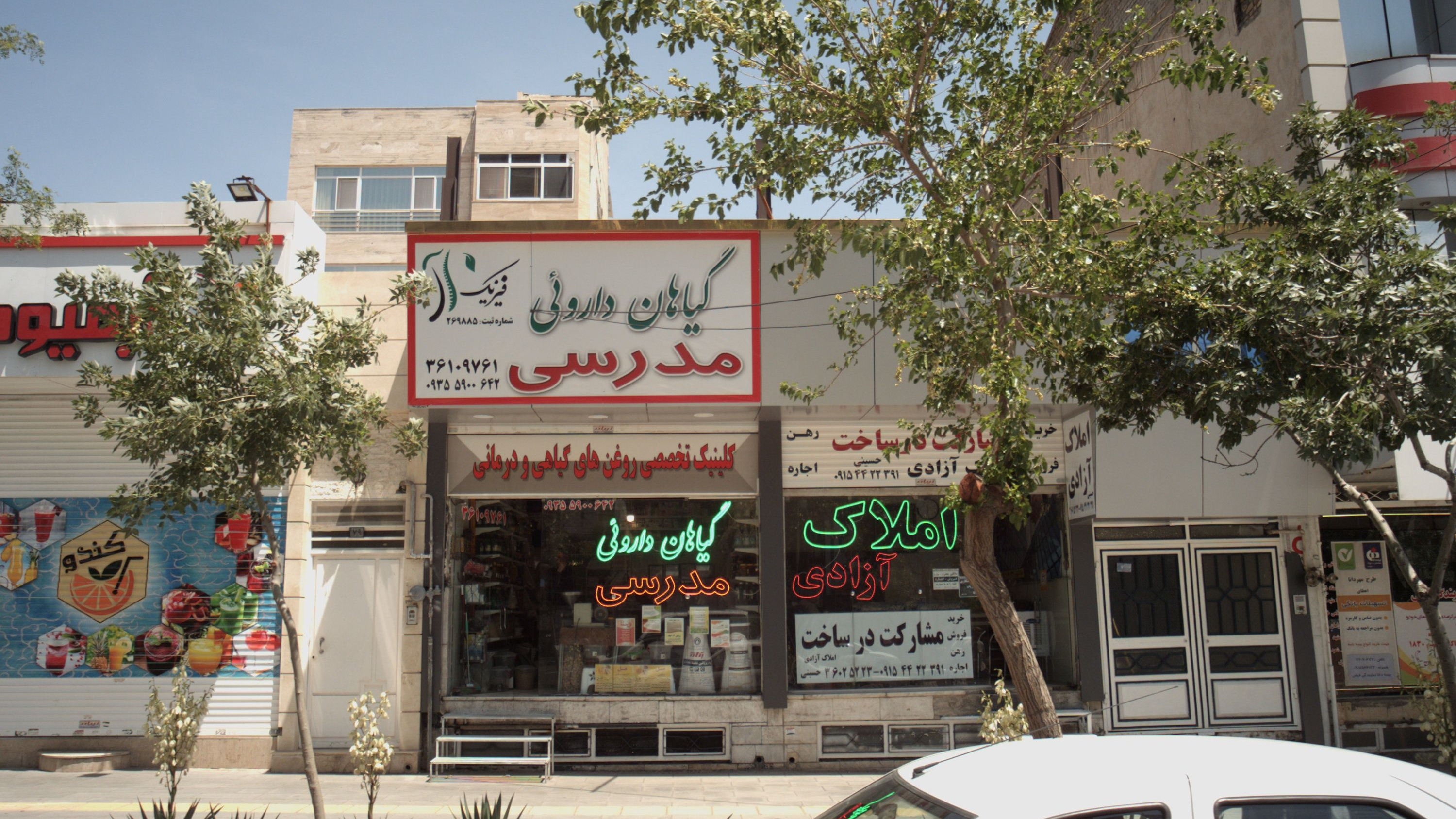 گیاهان داروئی مدرسی