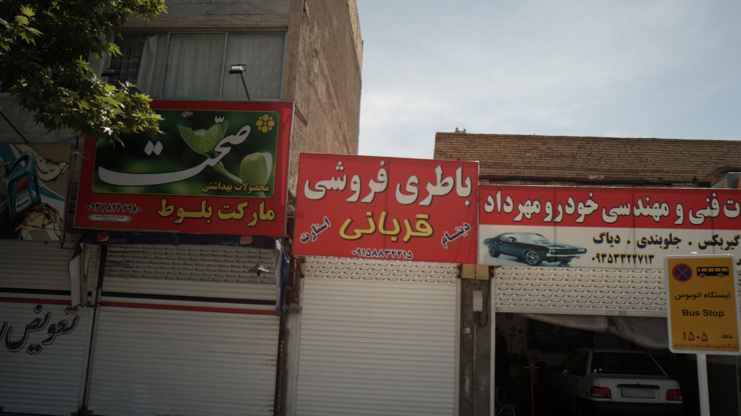 مارکت بلوط