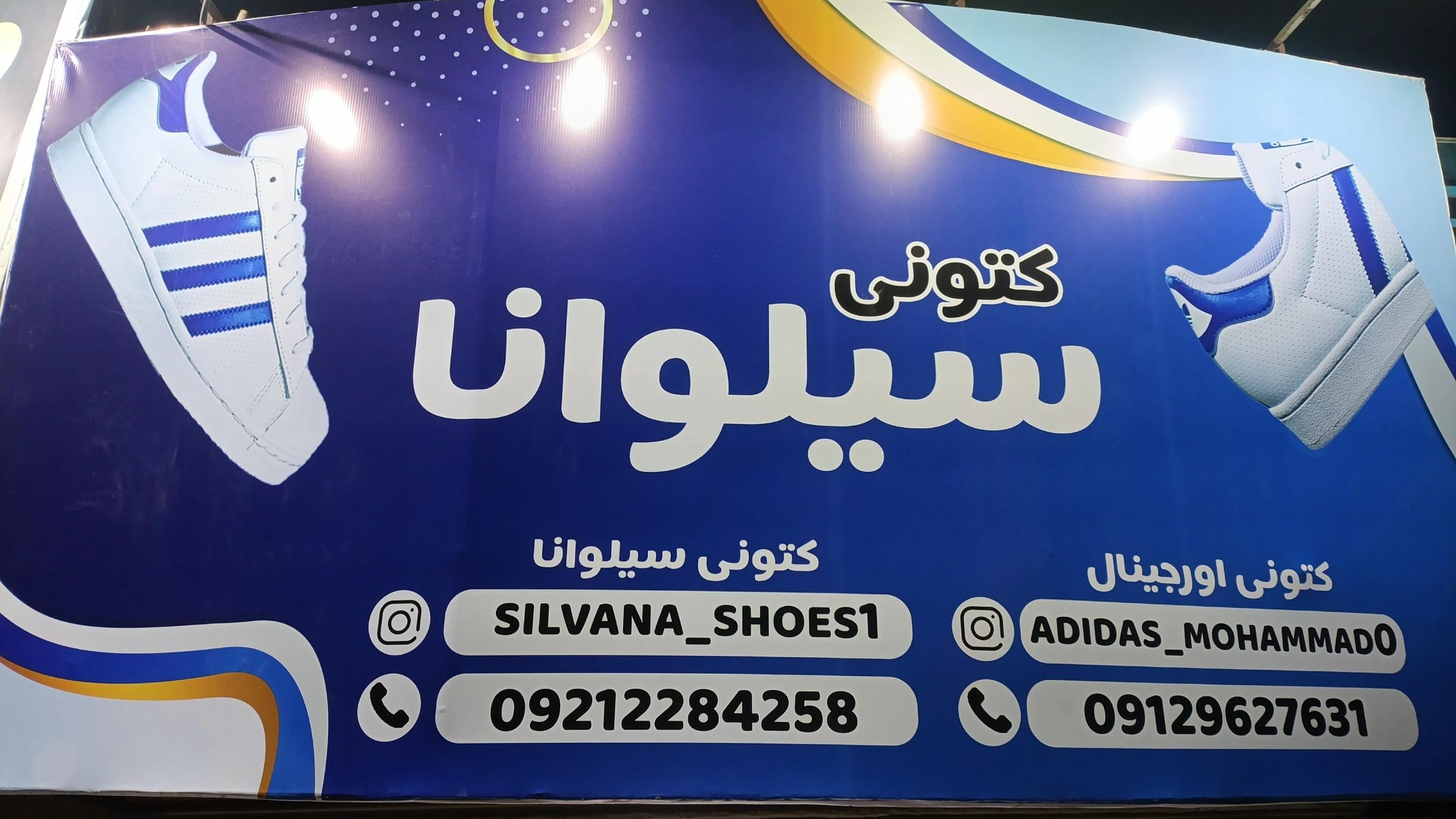 کتونی سیلوانا