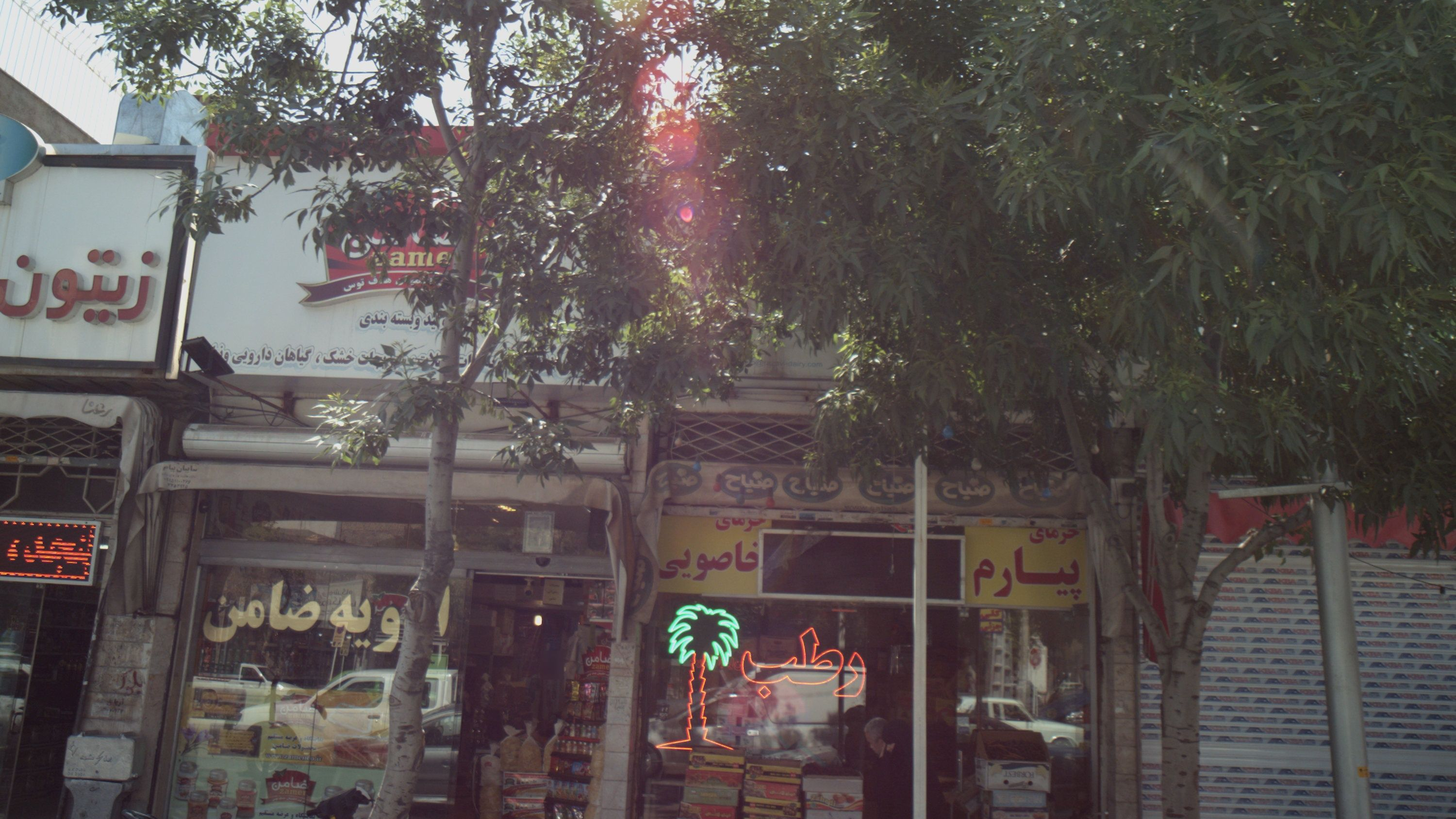 فروشگاه خرما