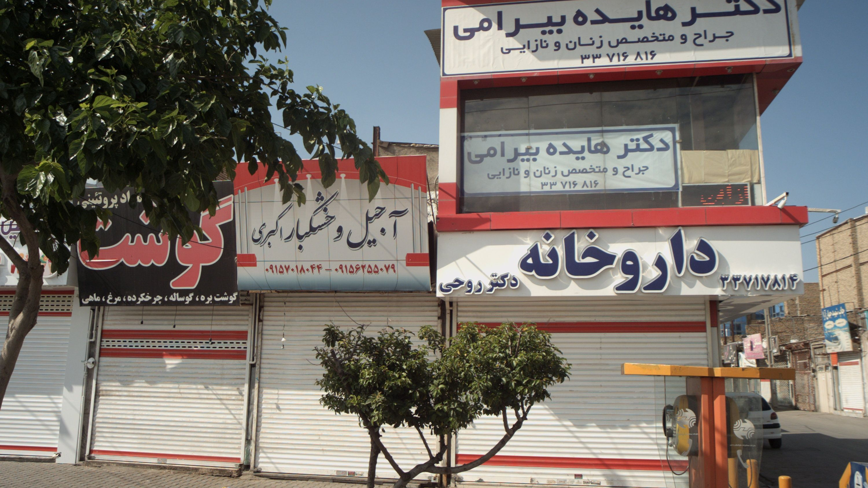 آجیل و خشکبار صداقت