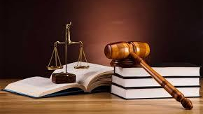 وکیل پایه یک دادگستری لیلا نوروزی