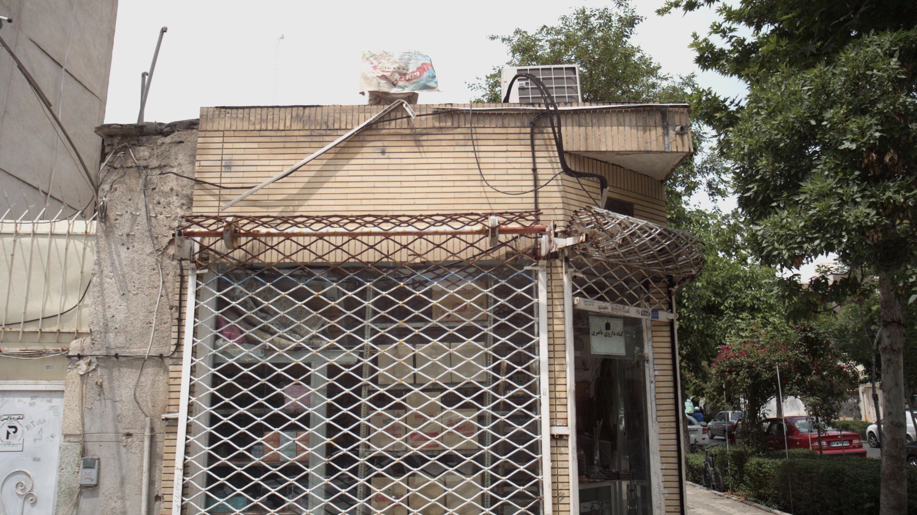 گیاه داروی ناصری