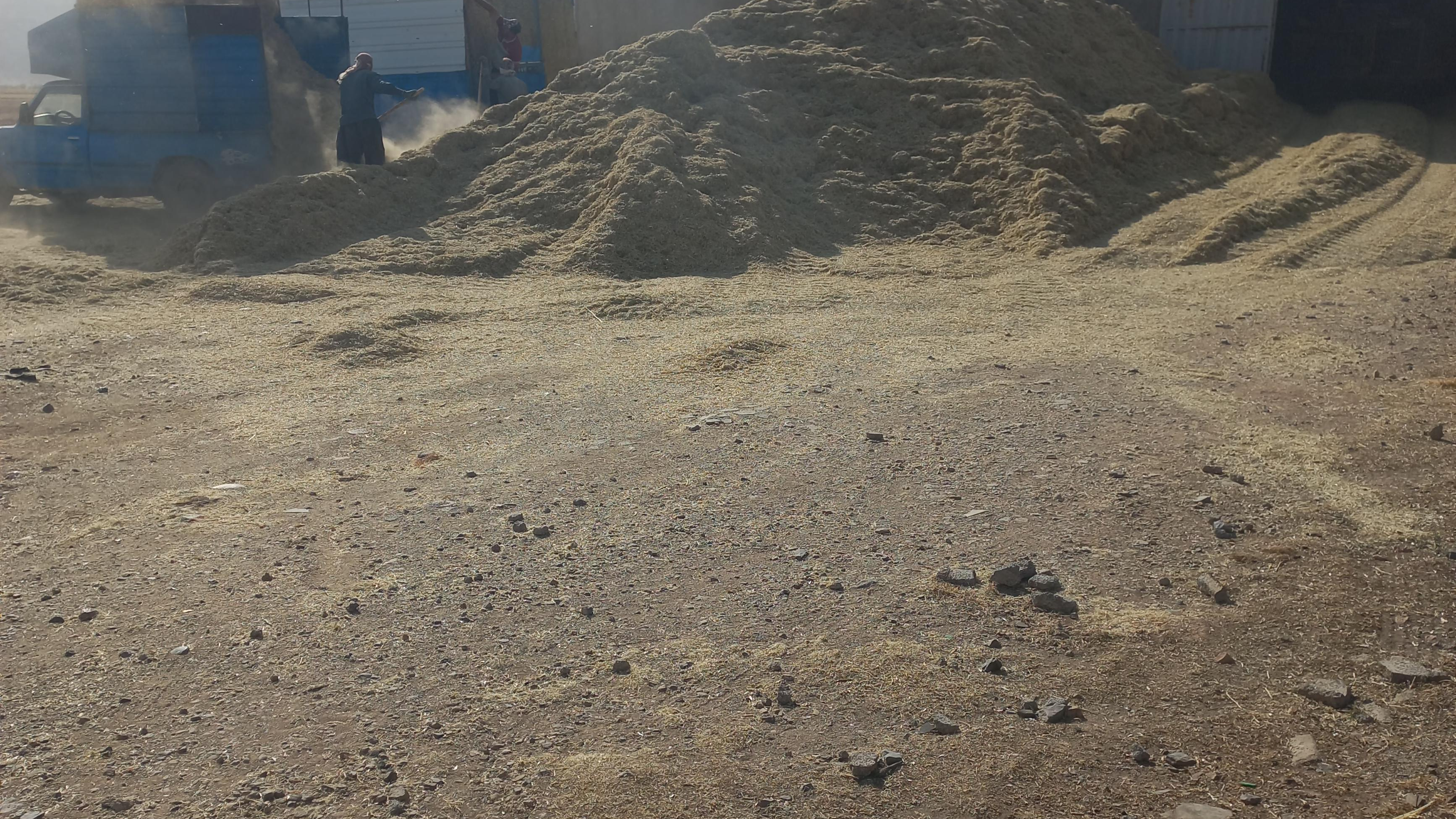 انبار علوفه سجاد رمضانی