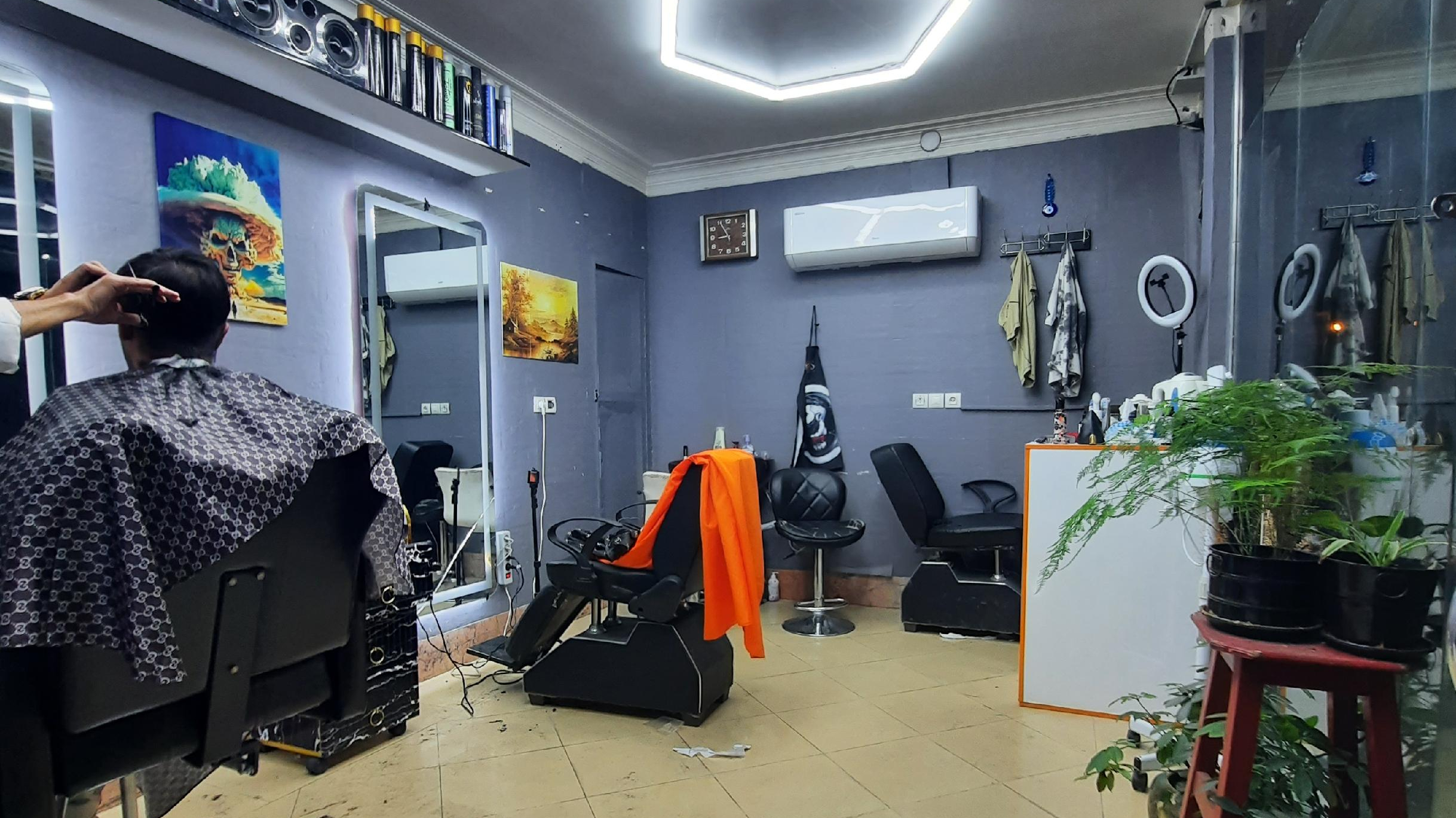 پیرایش محسن