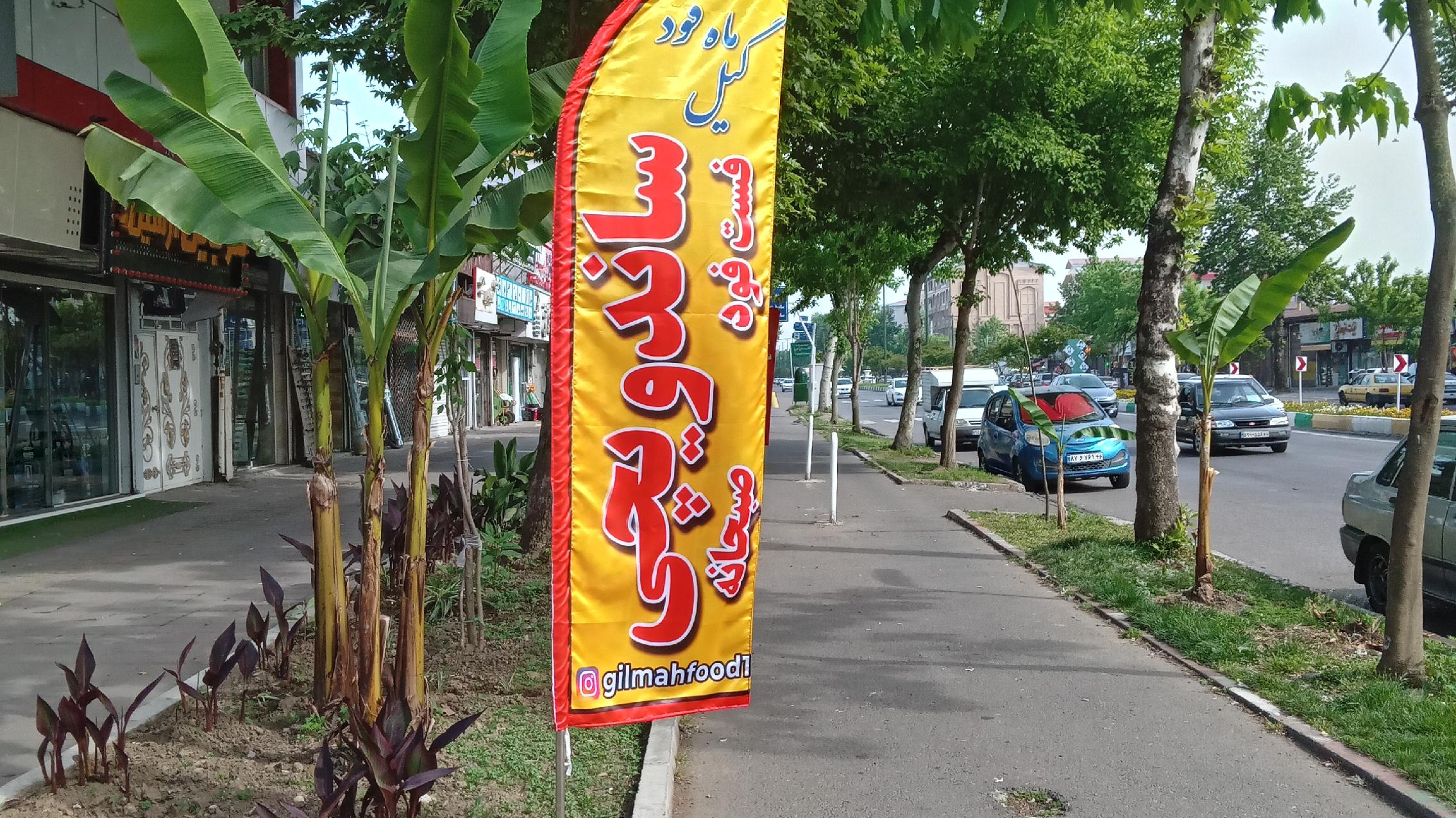 گیل ماه فود