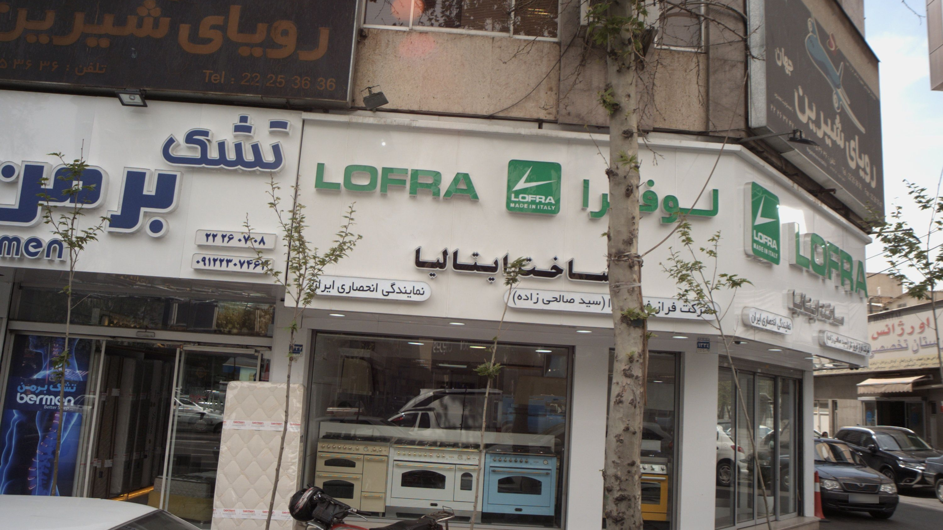 دکتر بزرگ علوی