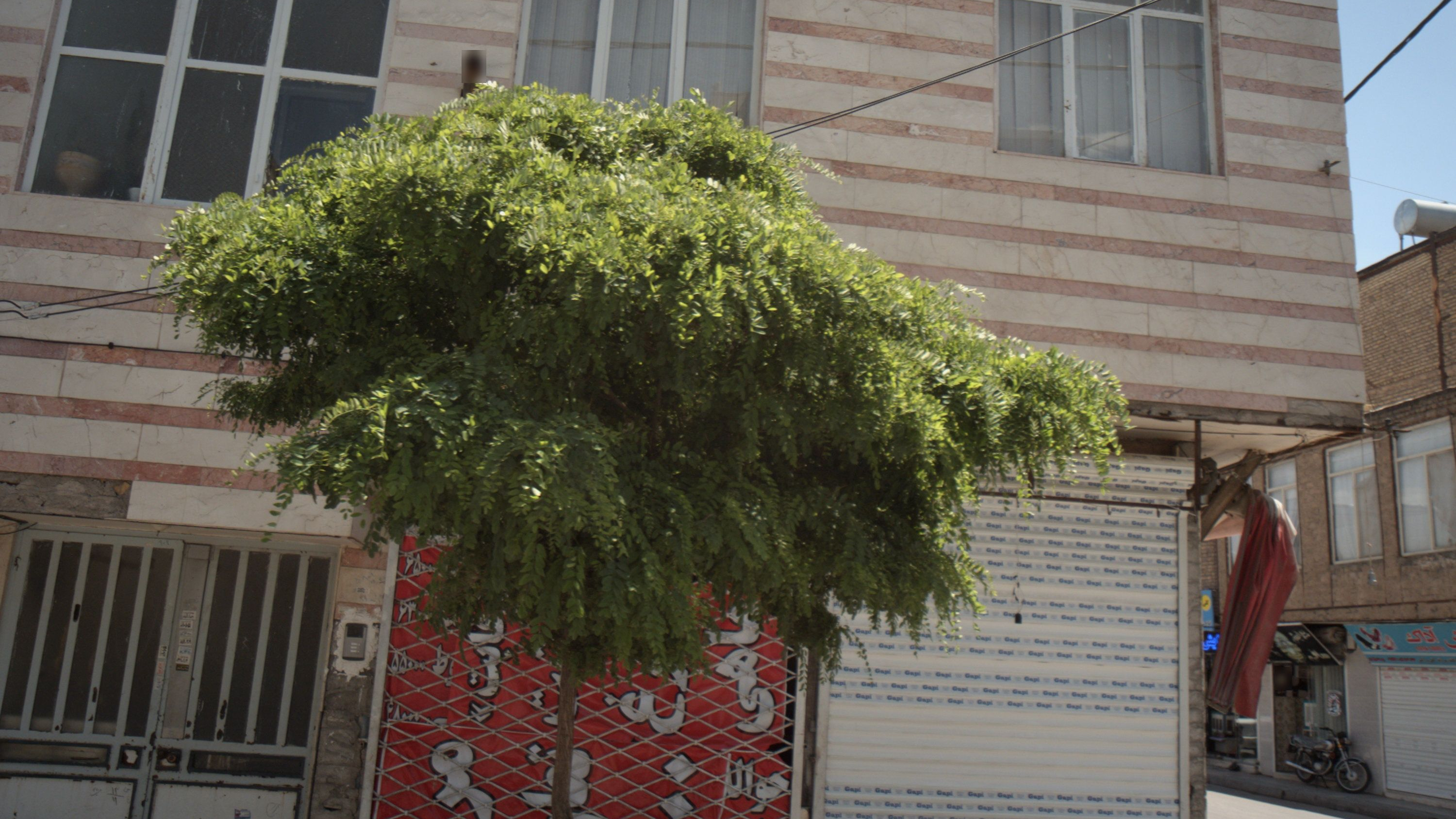 مرغ فروشی