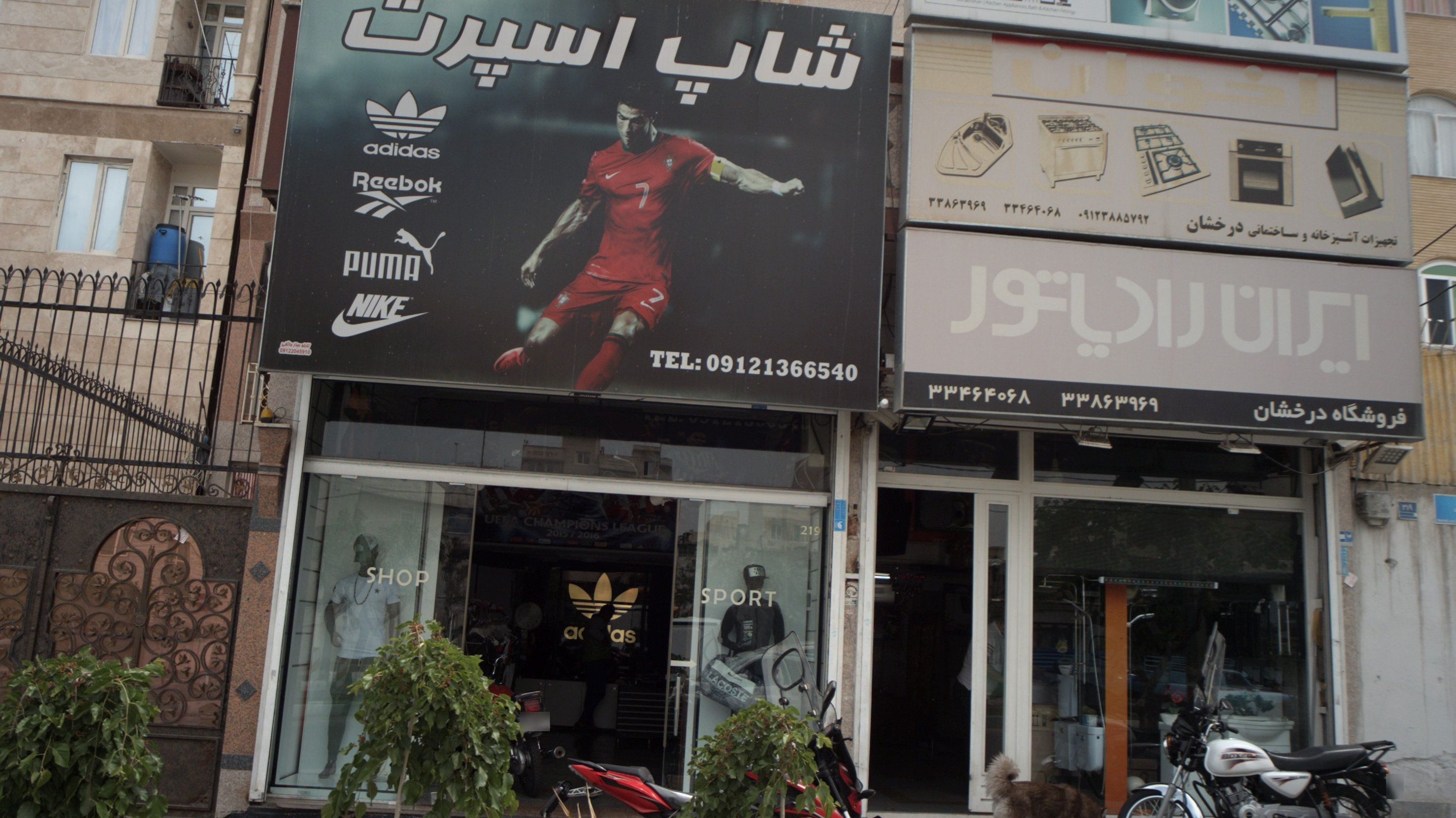 فروشگاه لوازم ورزشی شاپ اسپرت