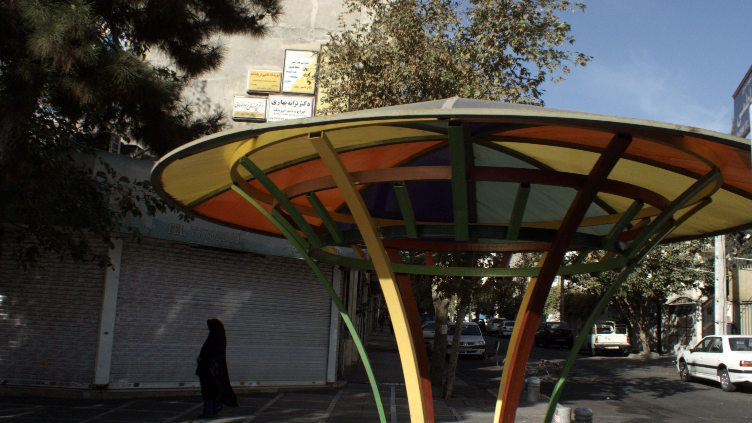 دکتر فروغ بوالوفایی