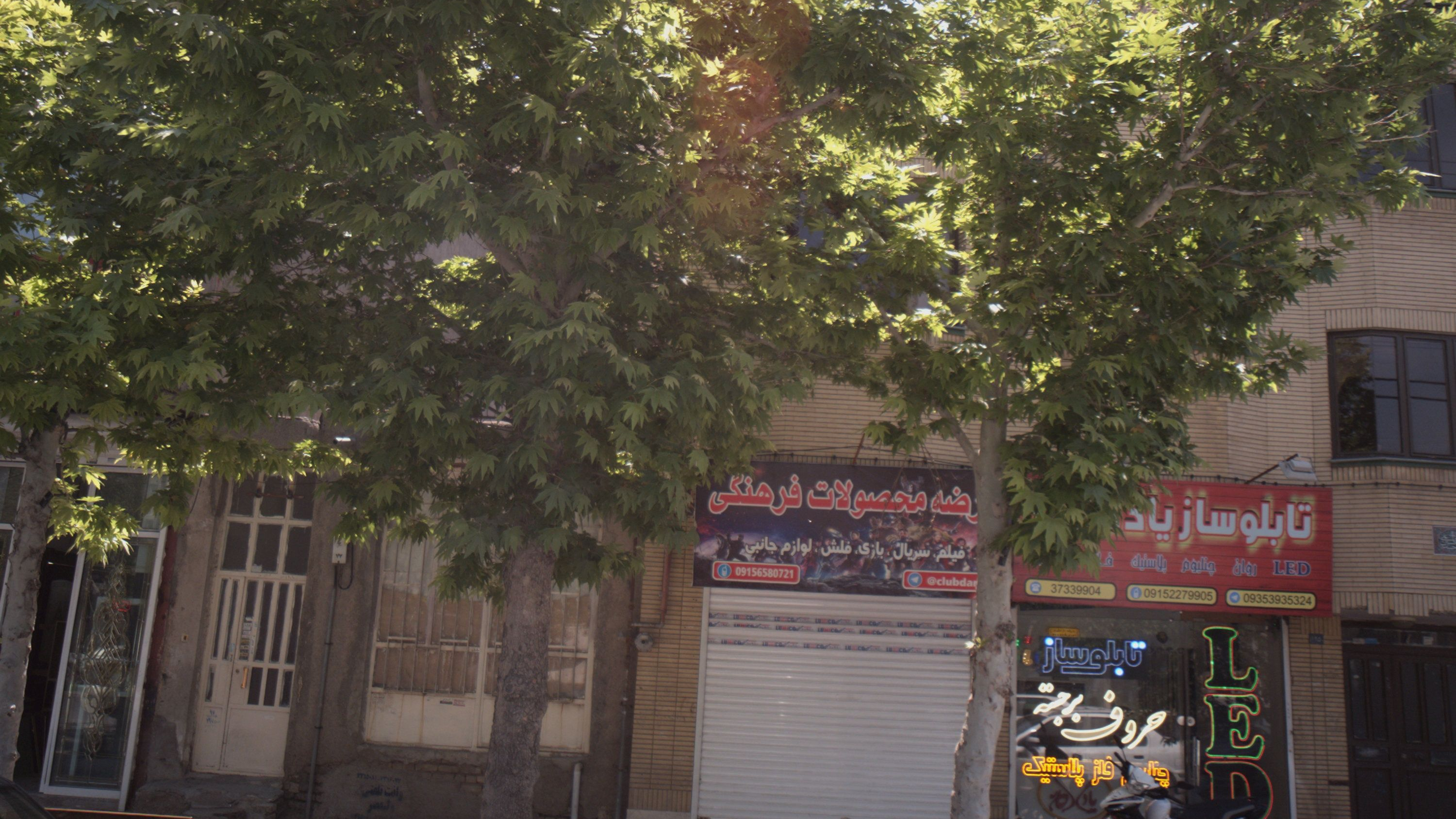 عرضه محصولات فرهنگی