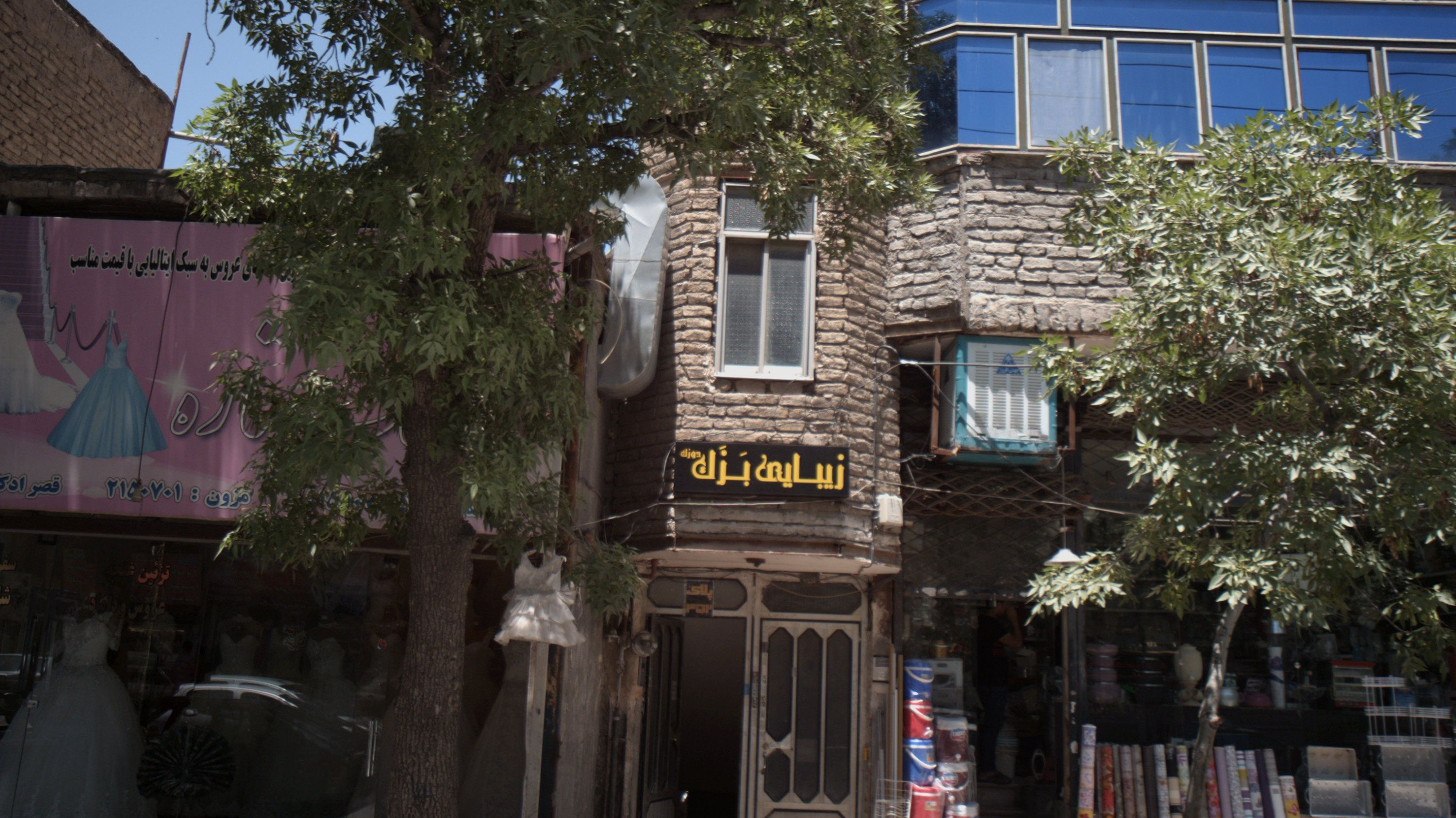 زیبایی بزک دوزک