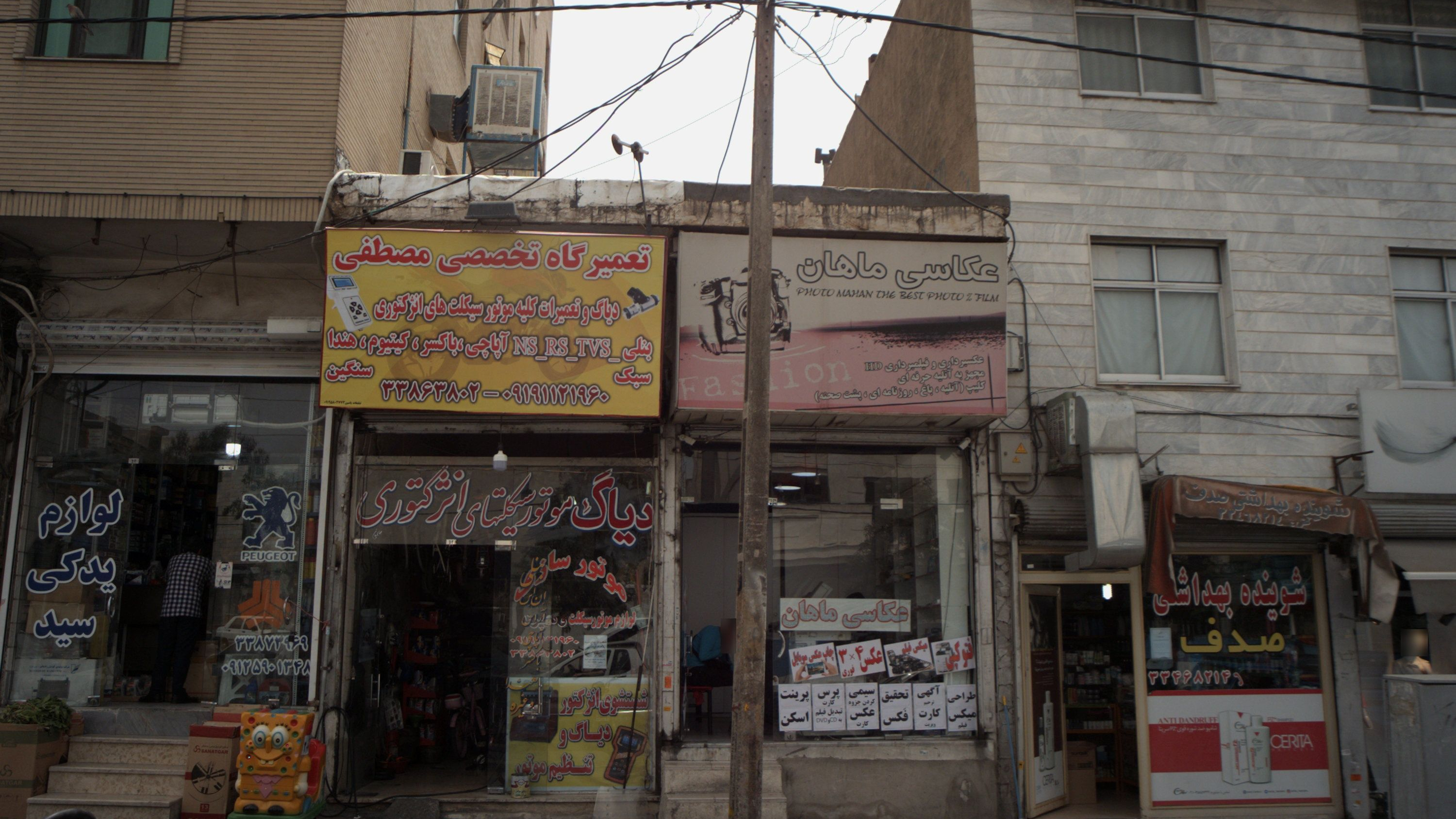 شوینده بهداشتی صدف