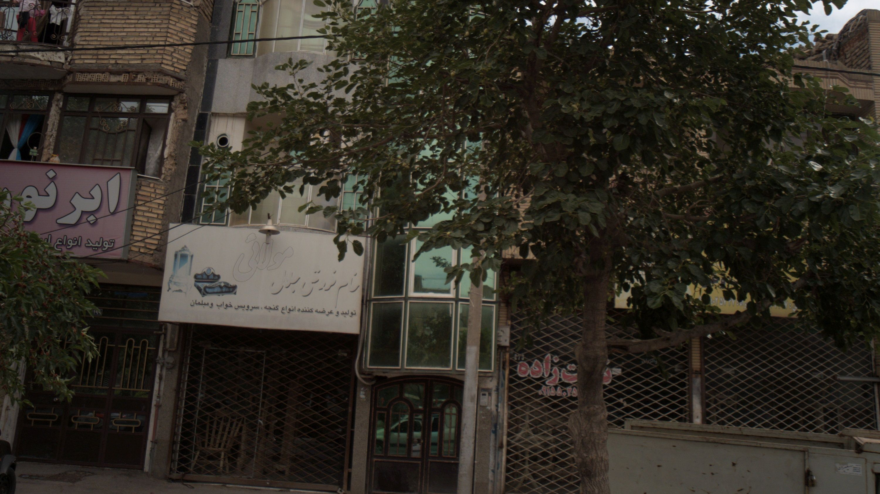 تولیدی مصنوعات چوبی خام فروشی جلال مولائی