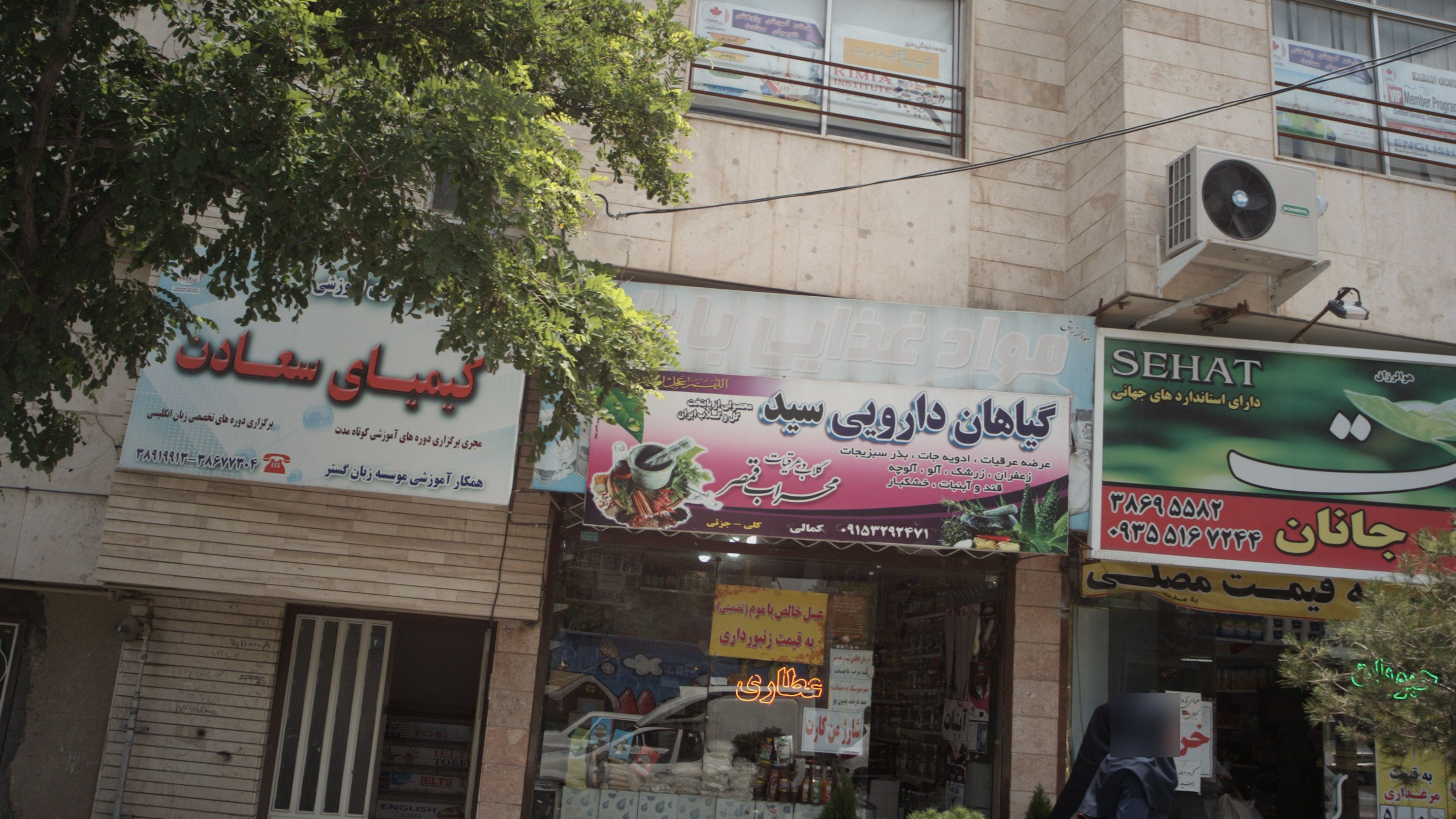 گیاهان دارویی سید