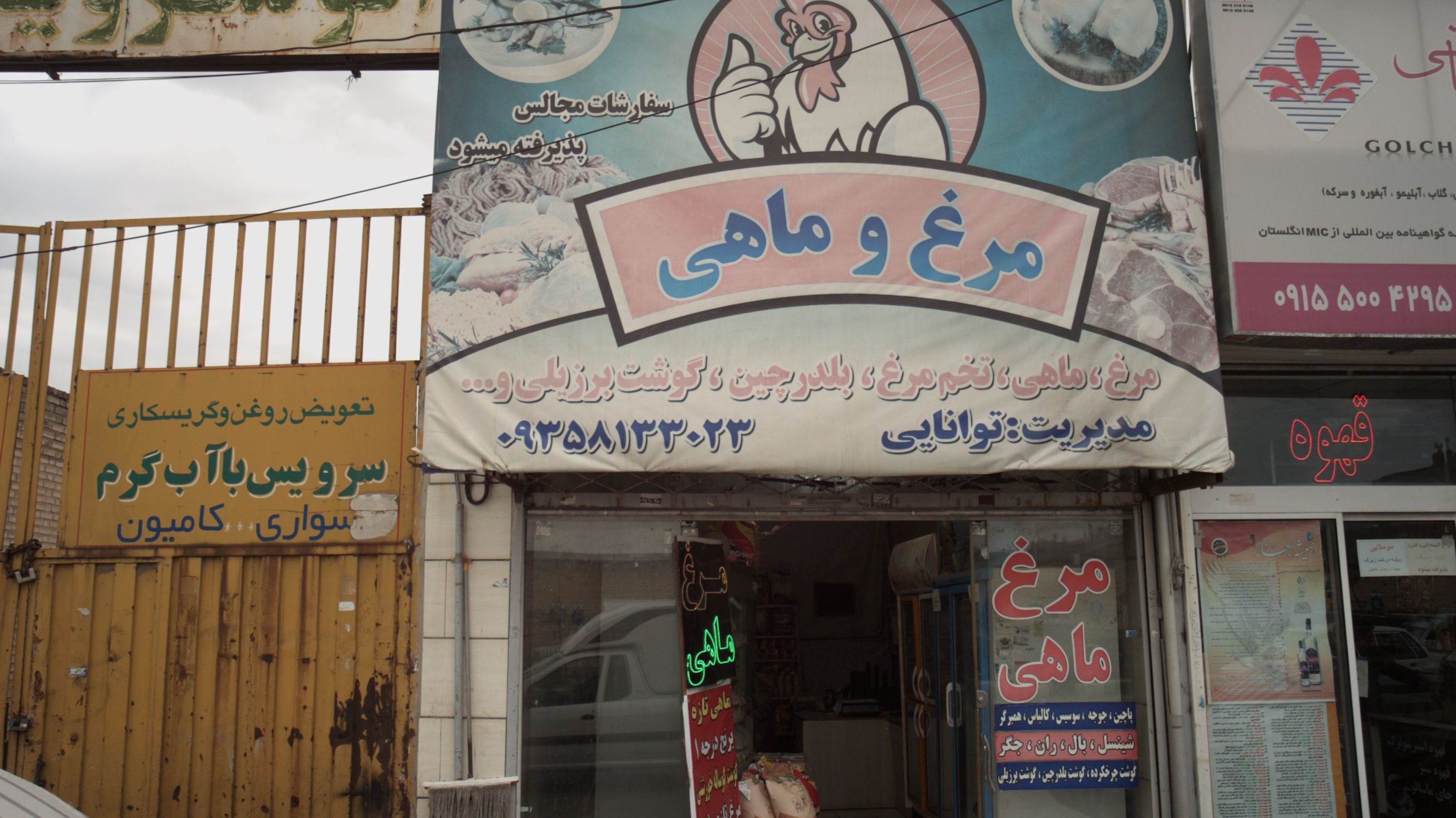 مرغ و ماهی