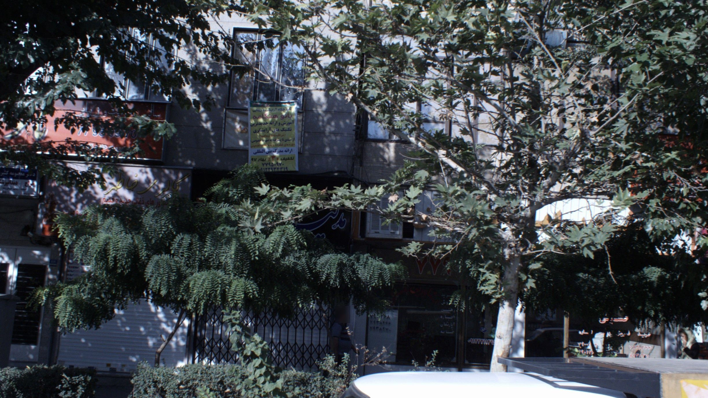 دکتر معصومه کثیری