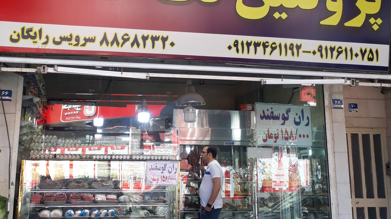 تک علامه