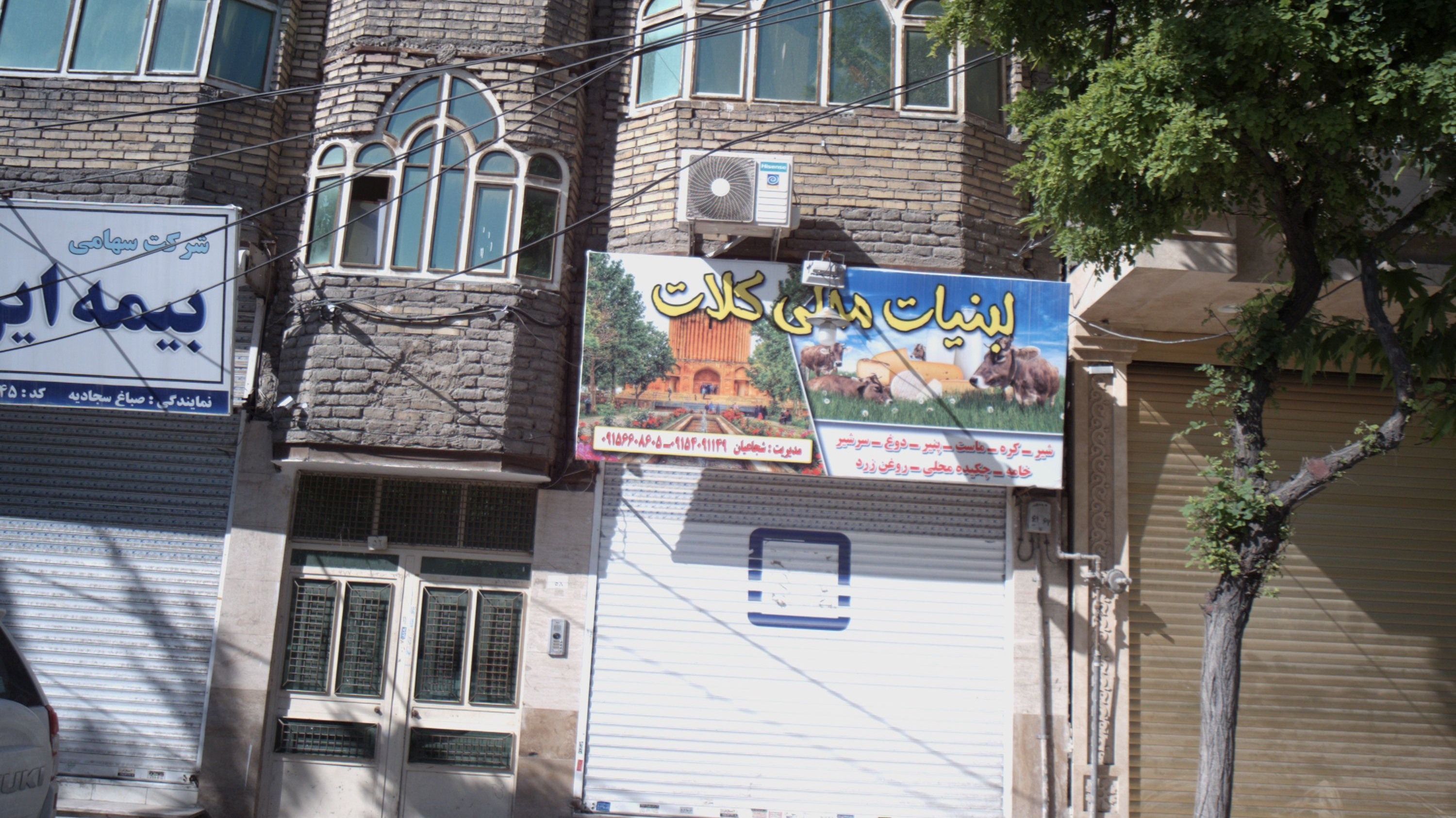 لبنیات محلی کلات
