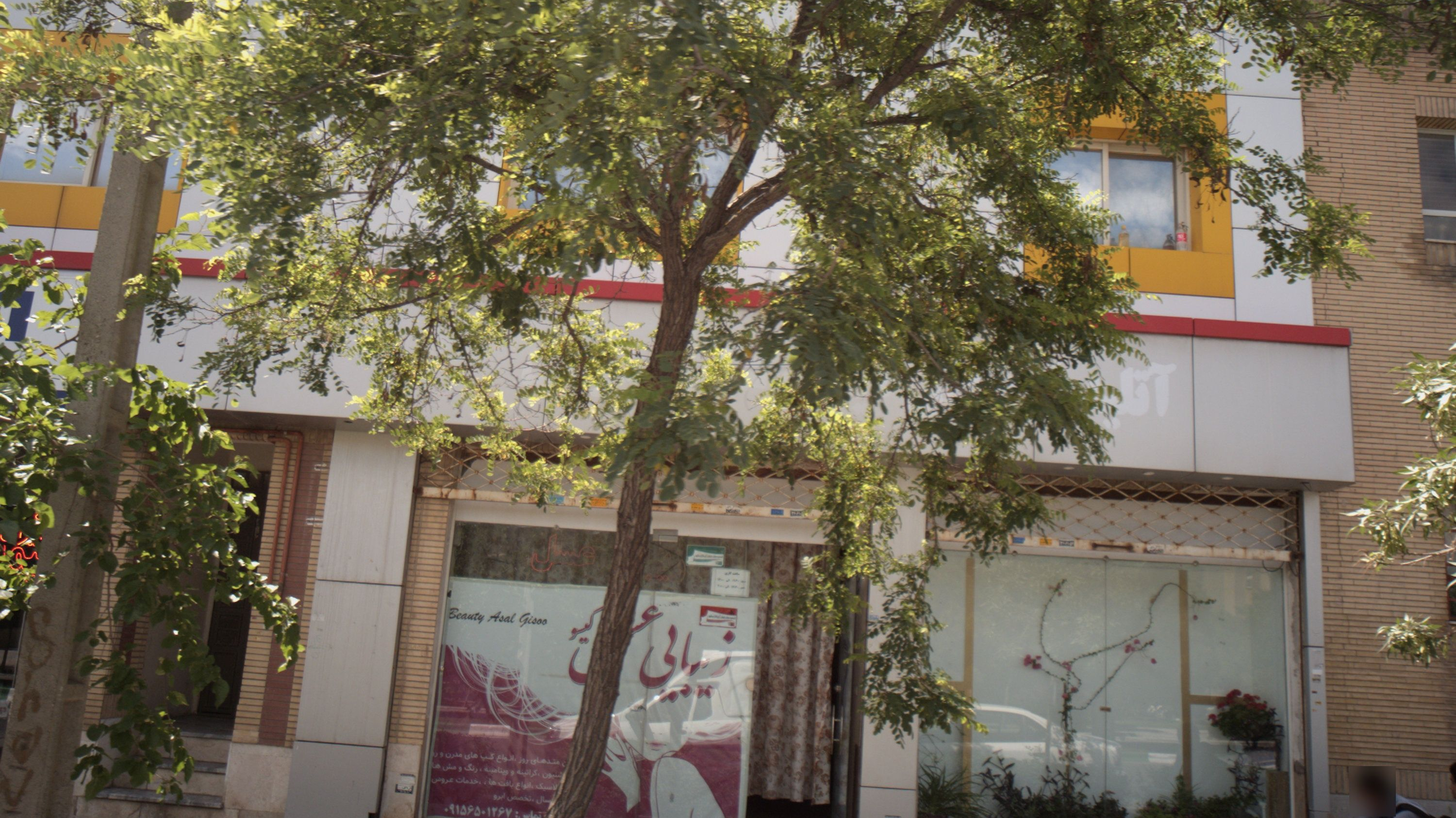 زیبایی عسل گیسو