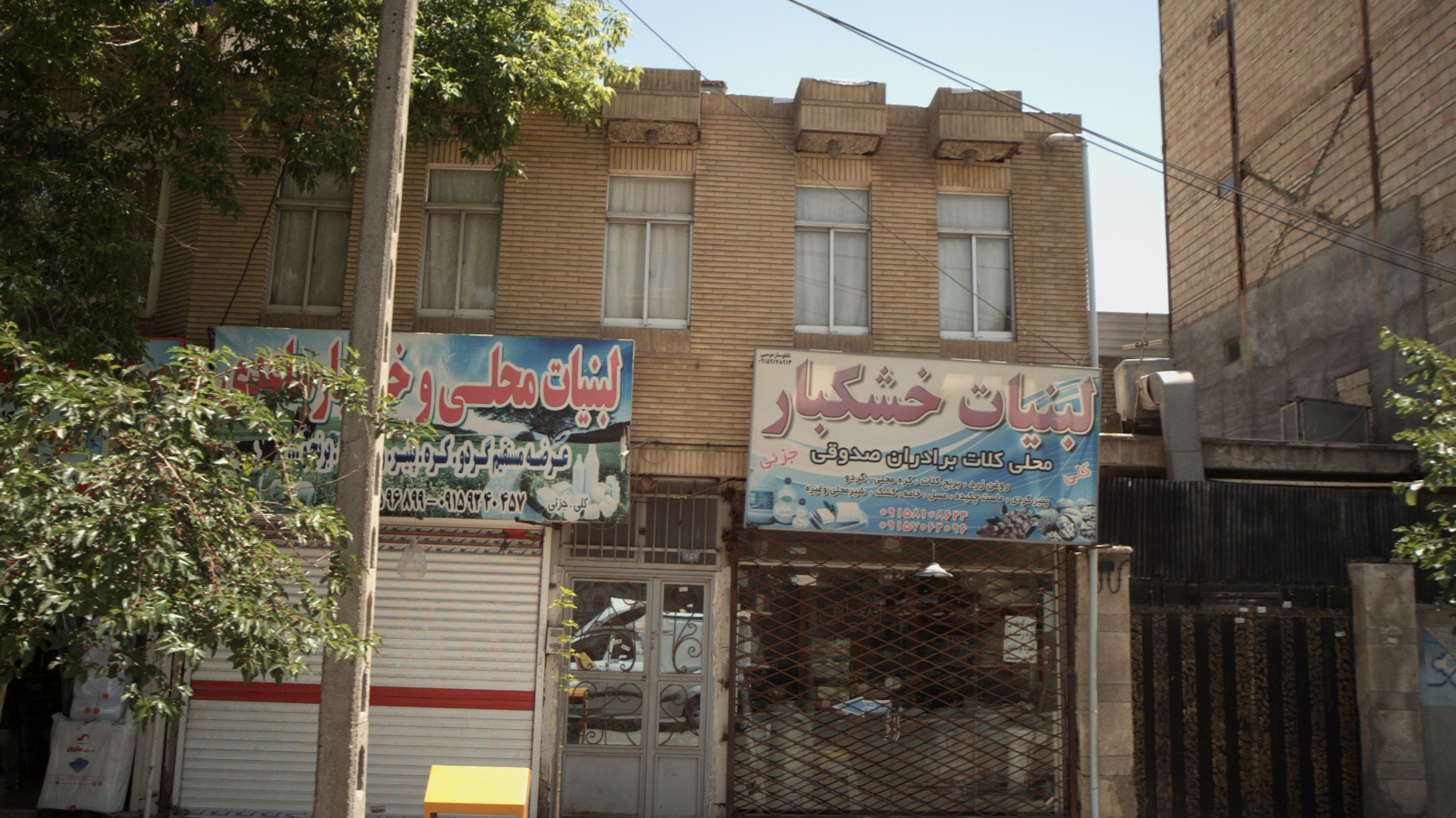 لبینات محلی و خشکبار ساعدی
