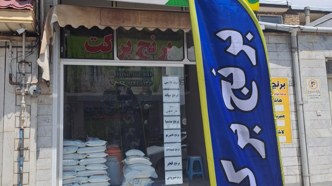 برنج برکت