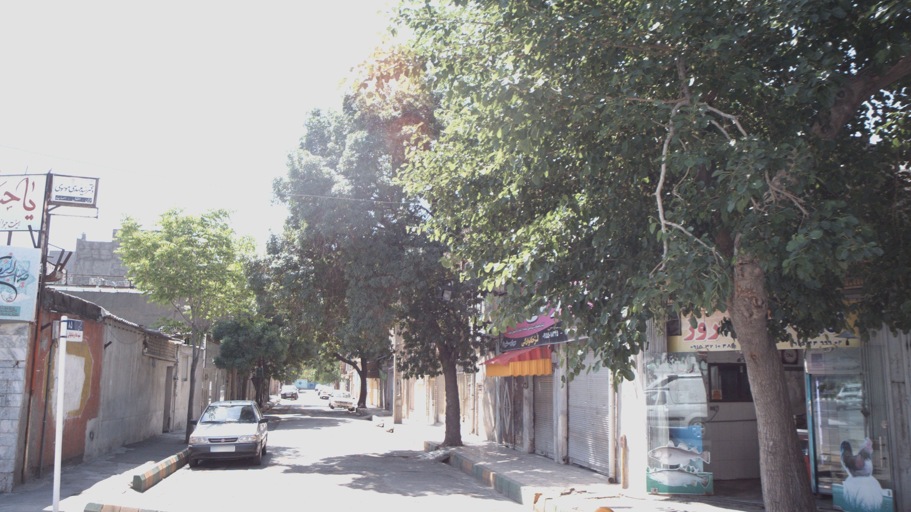 تهیه گوشت روز
