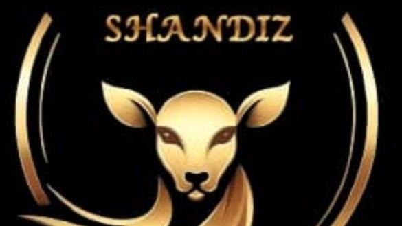 لوازم آرایشی بهداشتی شاندیز