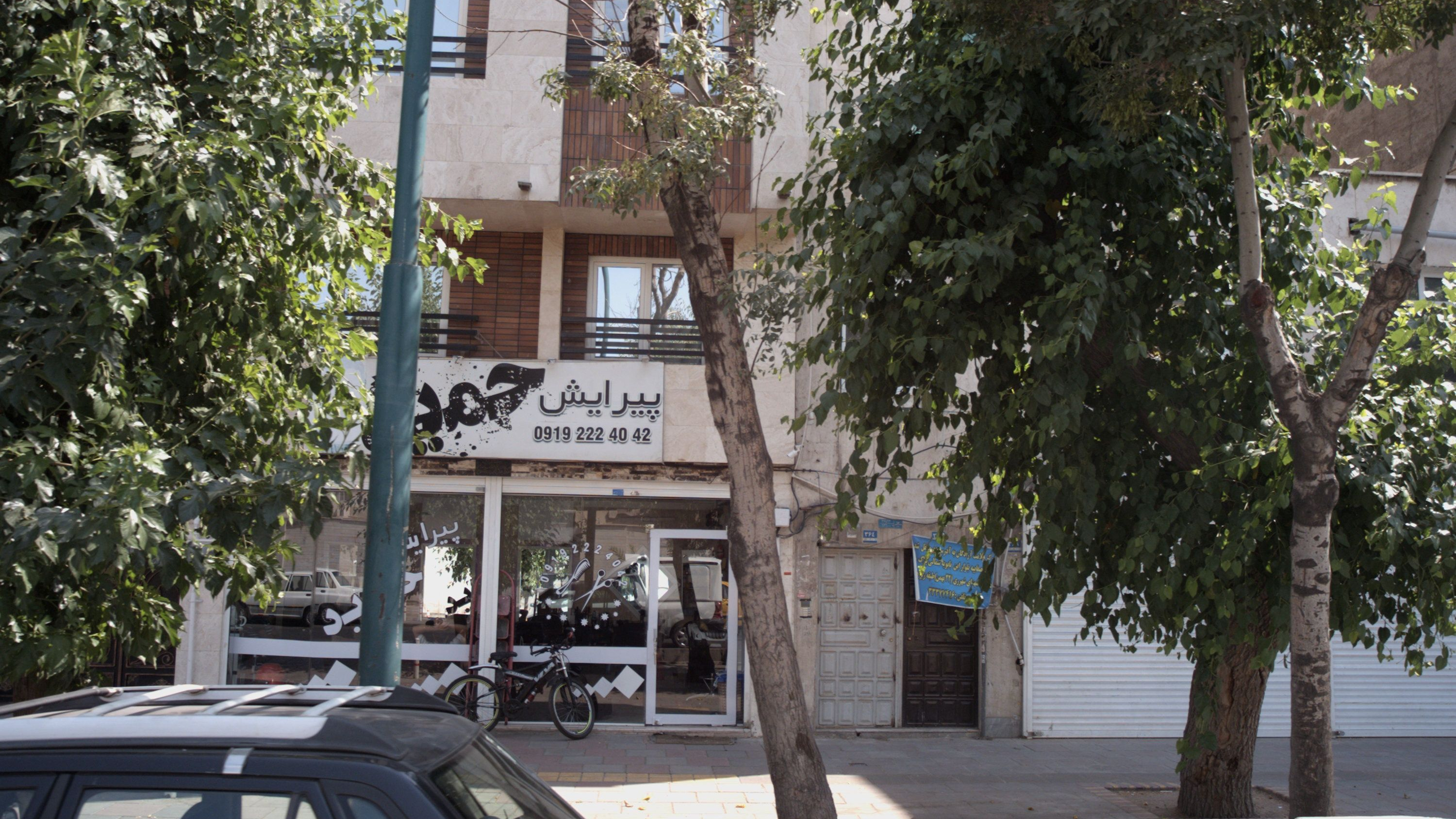 پیرایش حمید