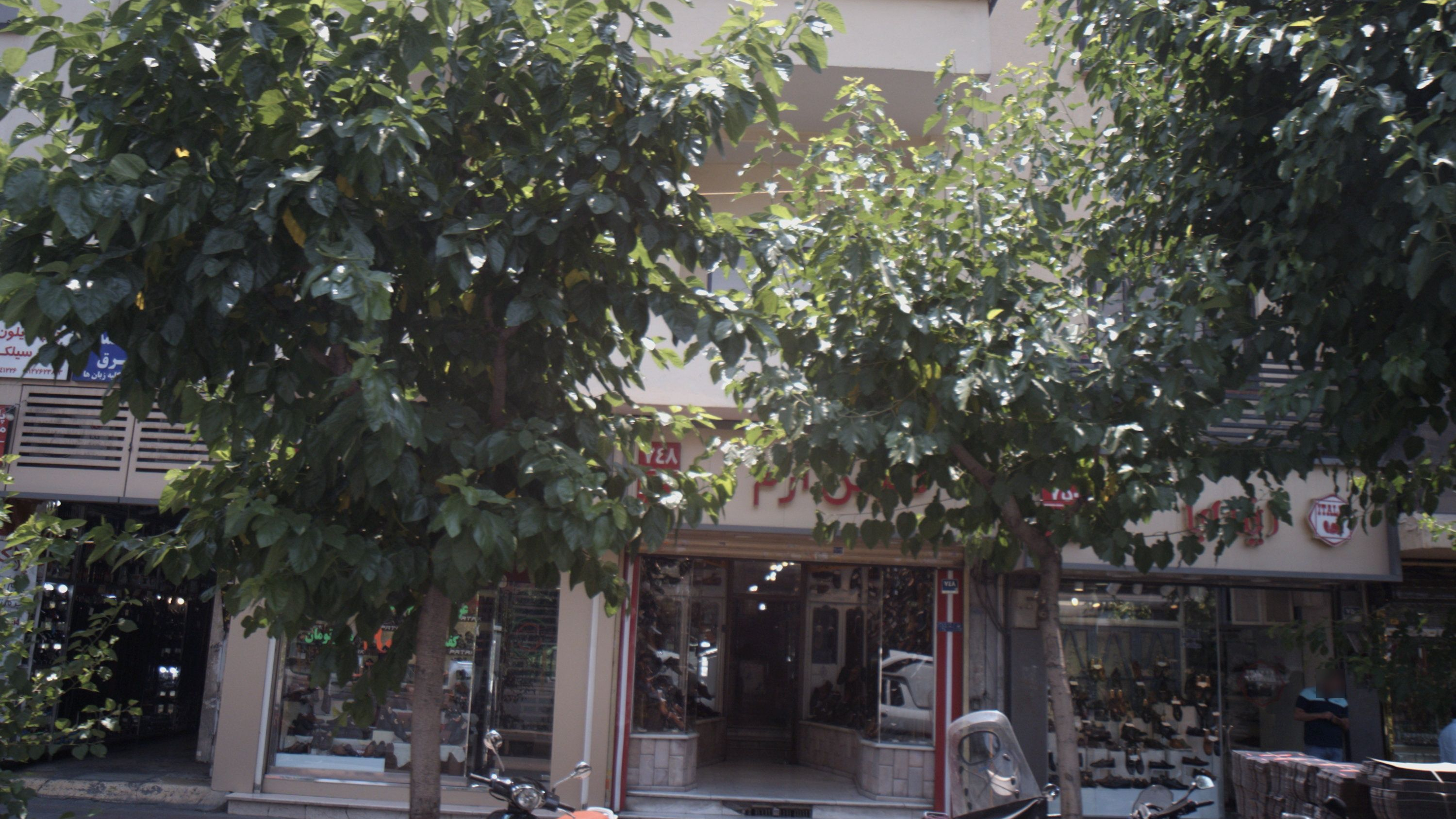 گلچین ارم