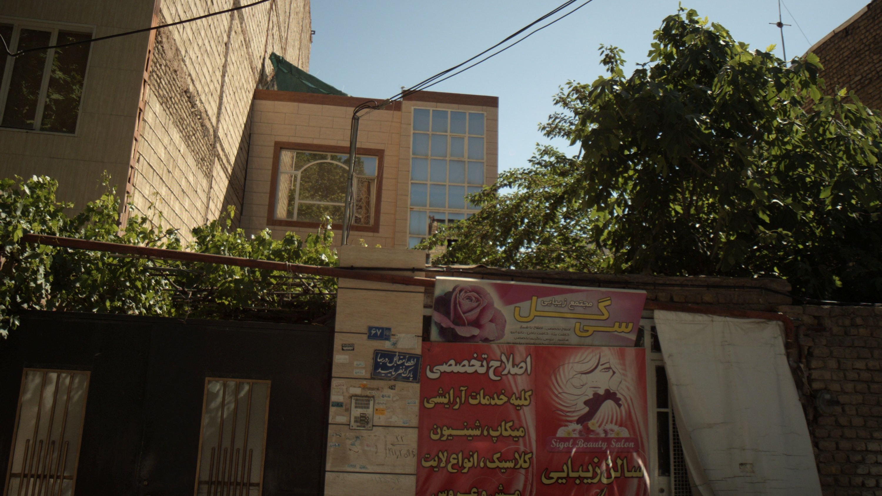 مجتمع زیبایی سی گل