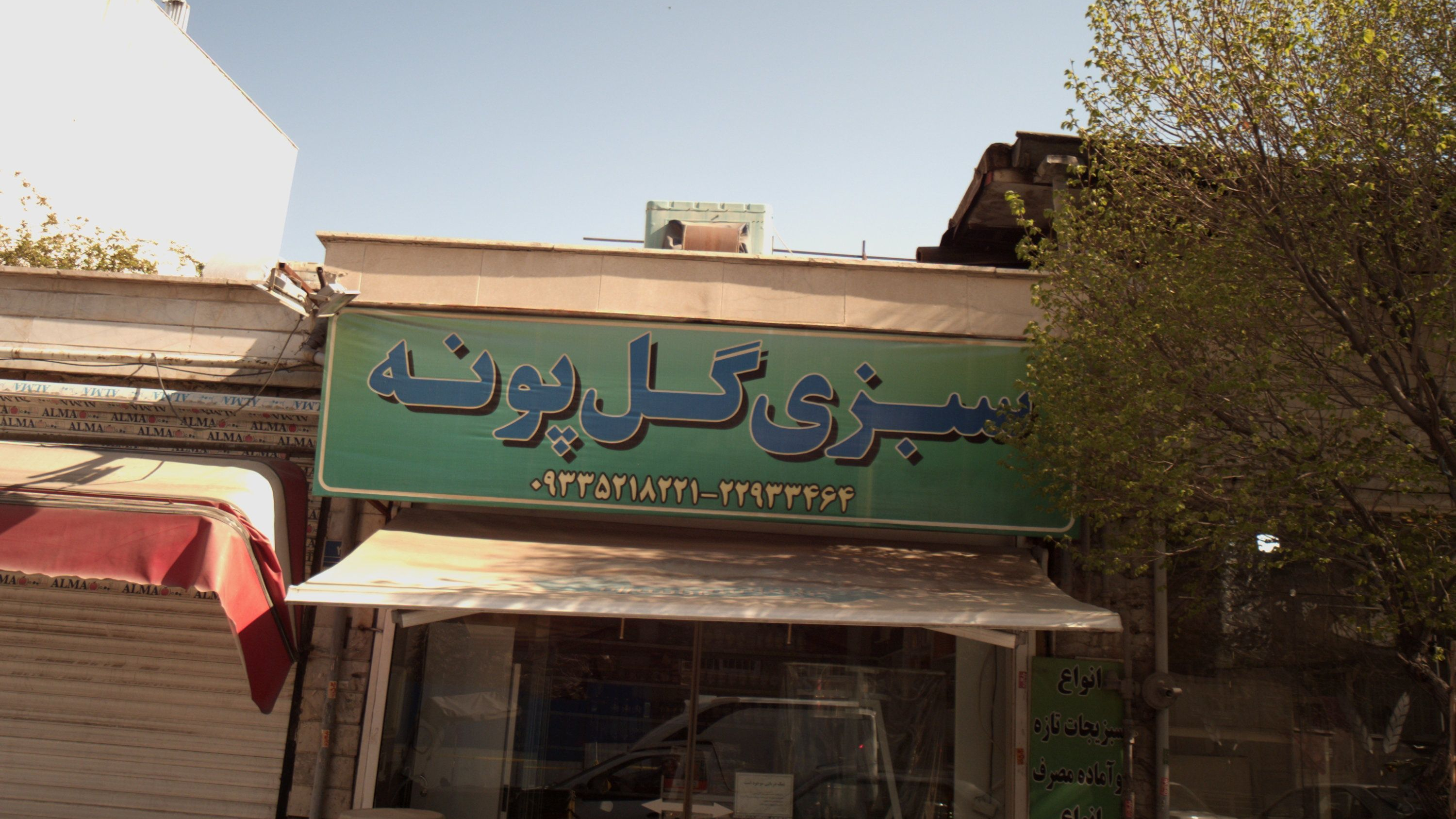 سبزی گل پونه