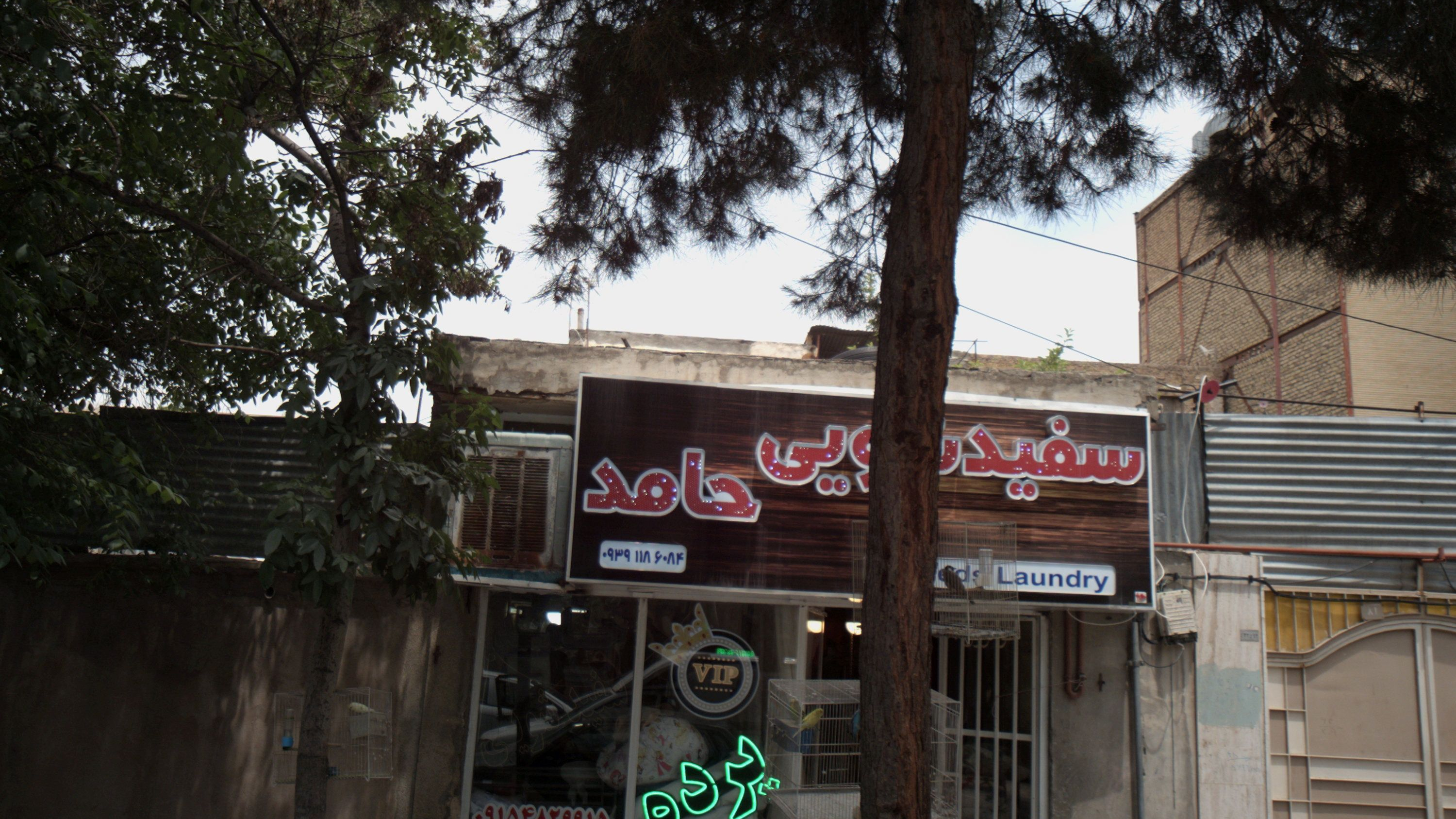 سفید شویی حامد