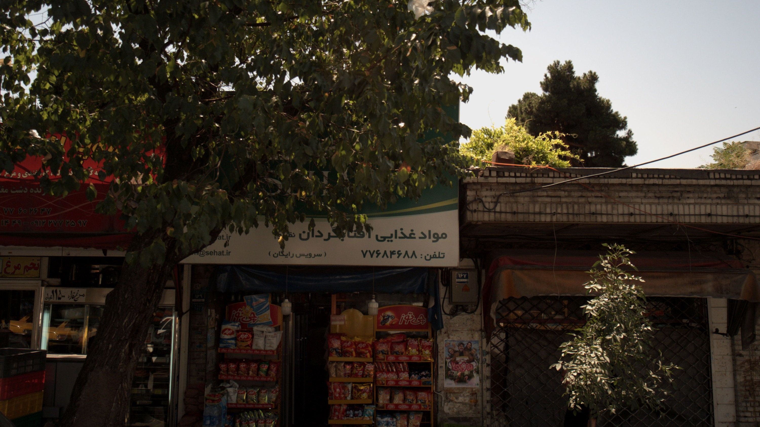 مواد غذایی آفتابگردان