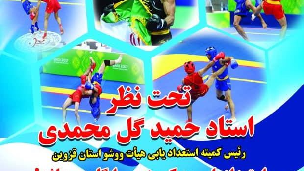 آکادمی ووشو شهدای مدافع حرم(استادحمیدگل محمدی)