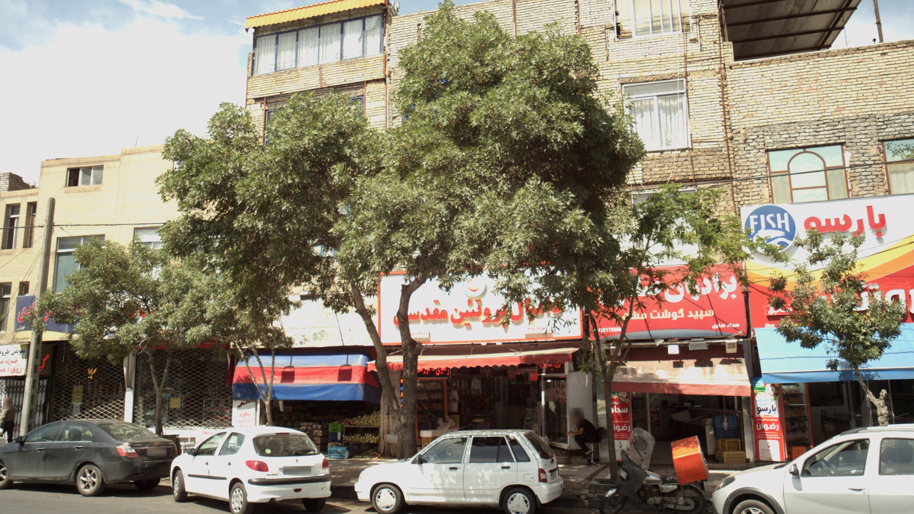 سوپر پروتئینی دانیال پروتئینی مقدسی