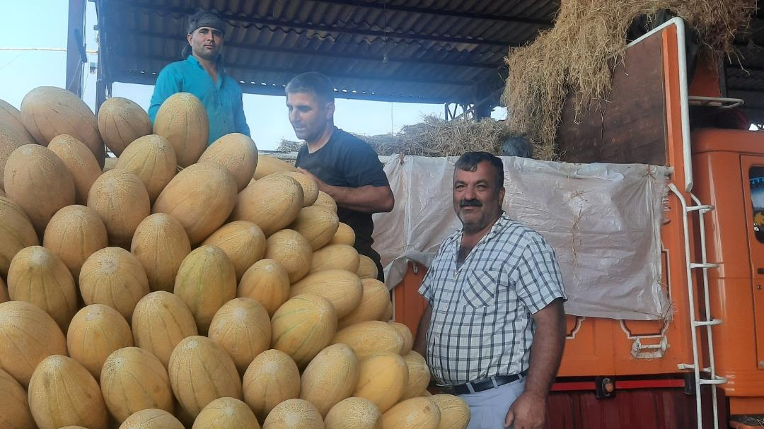 بارفروشی و حق العمل کاری ظاهر حبابی