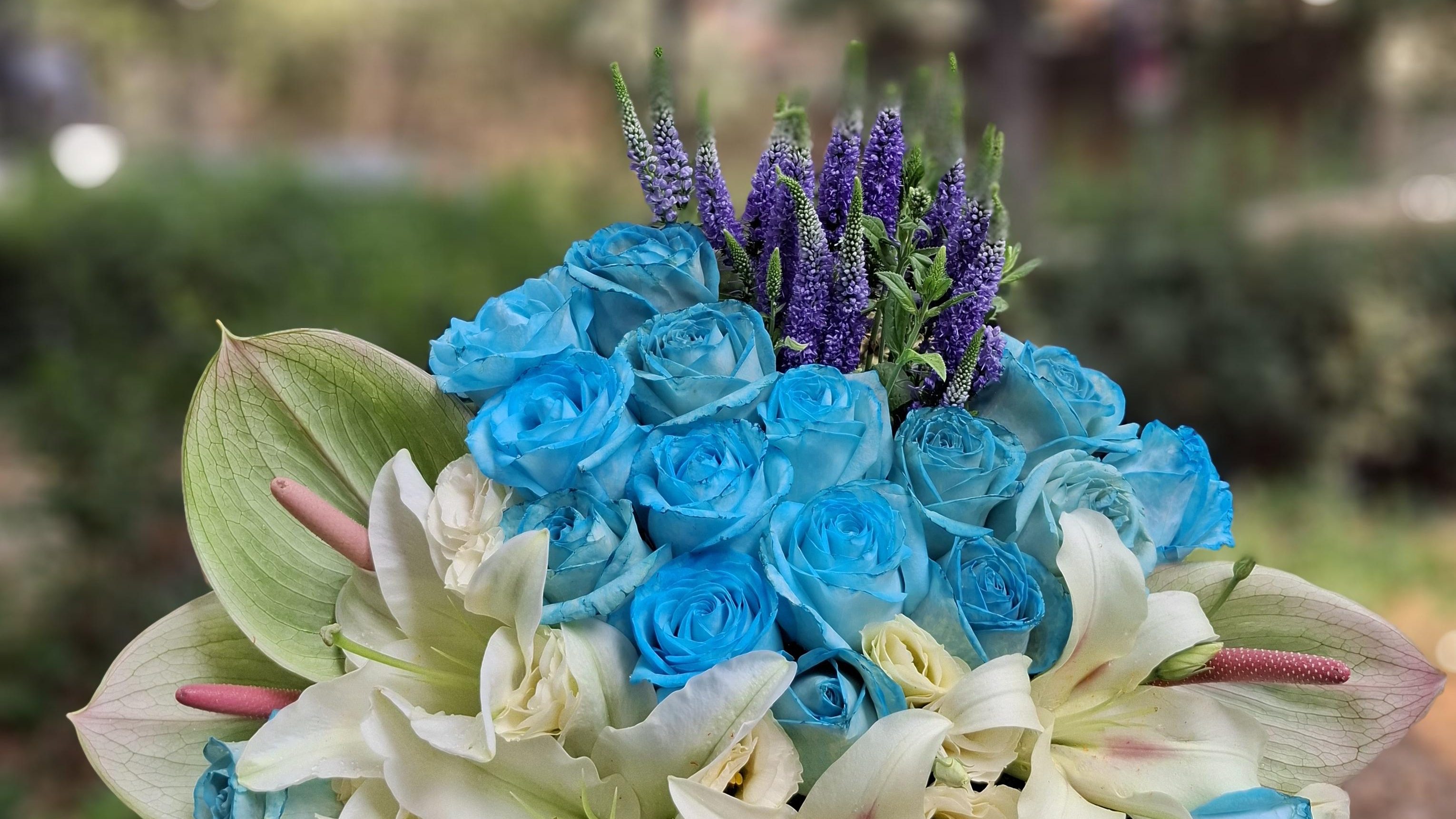 گلفروشی گلوریا